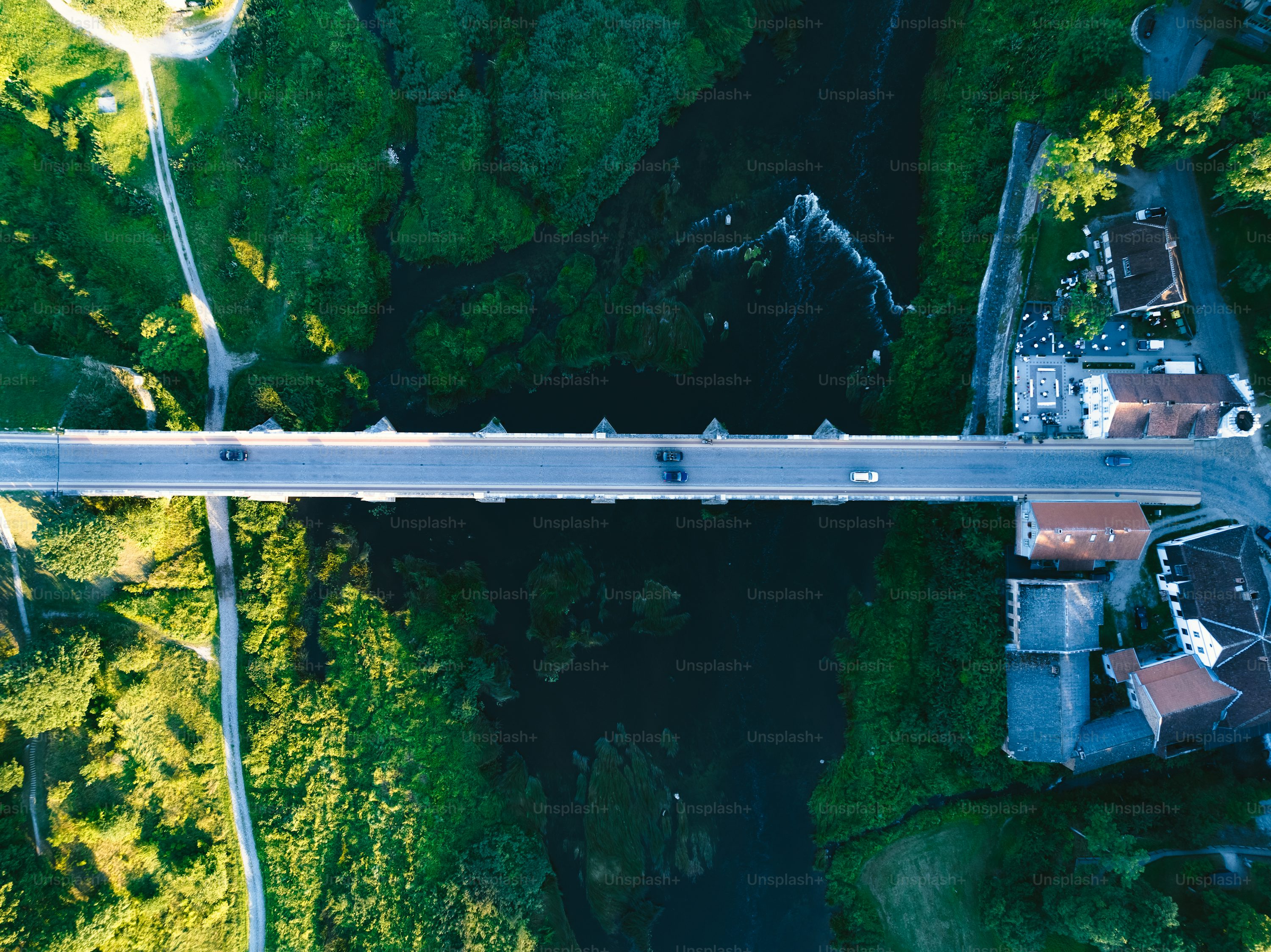 DJI camera drone for environmental monitoring with live streaming