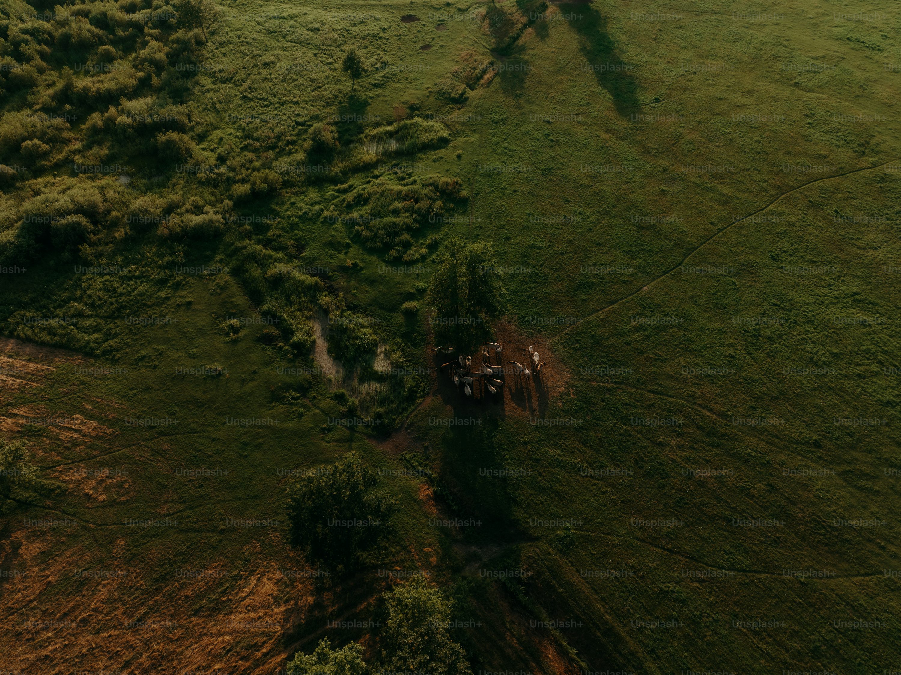 mini drones for cinematography with long battery life in USA