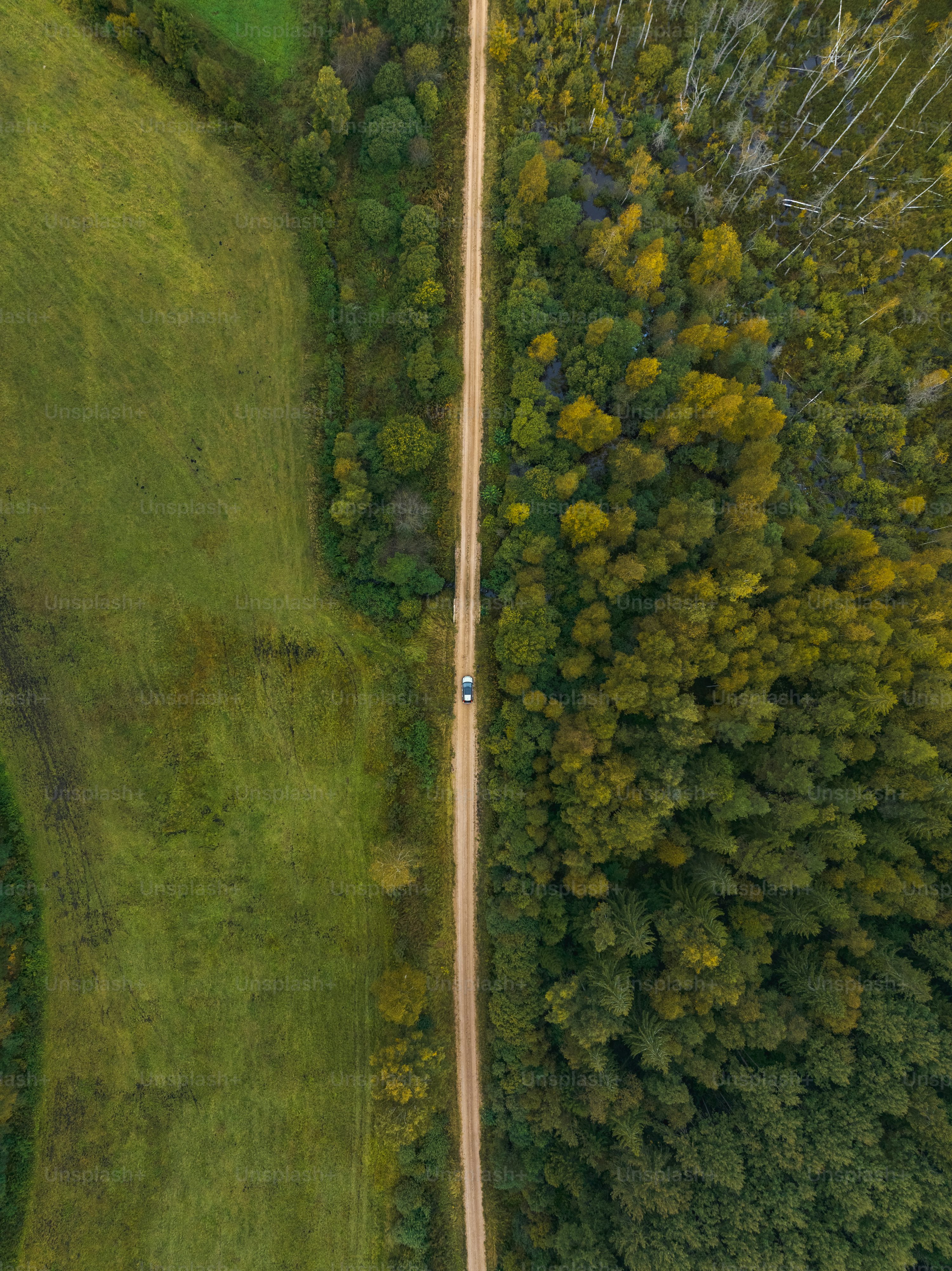 fpv drones for mapping with follow me mode in Toronto