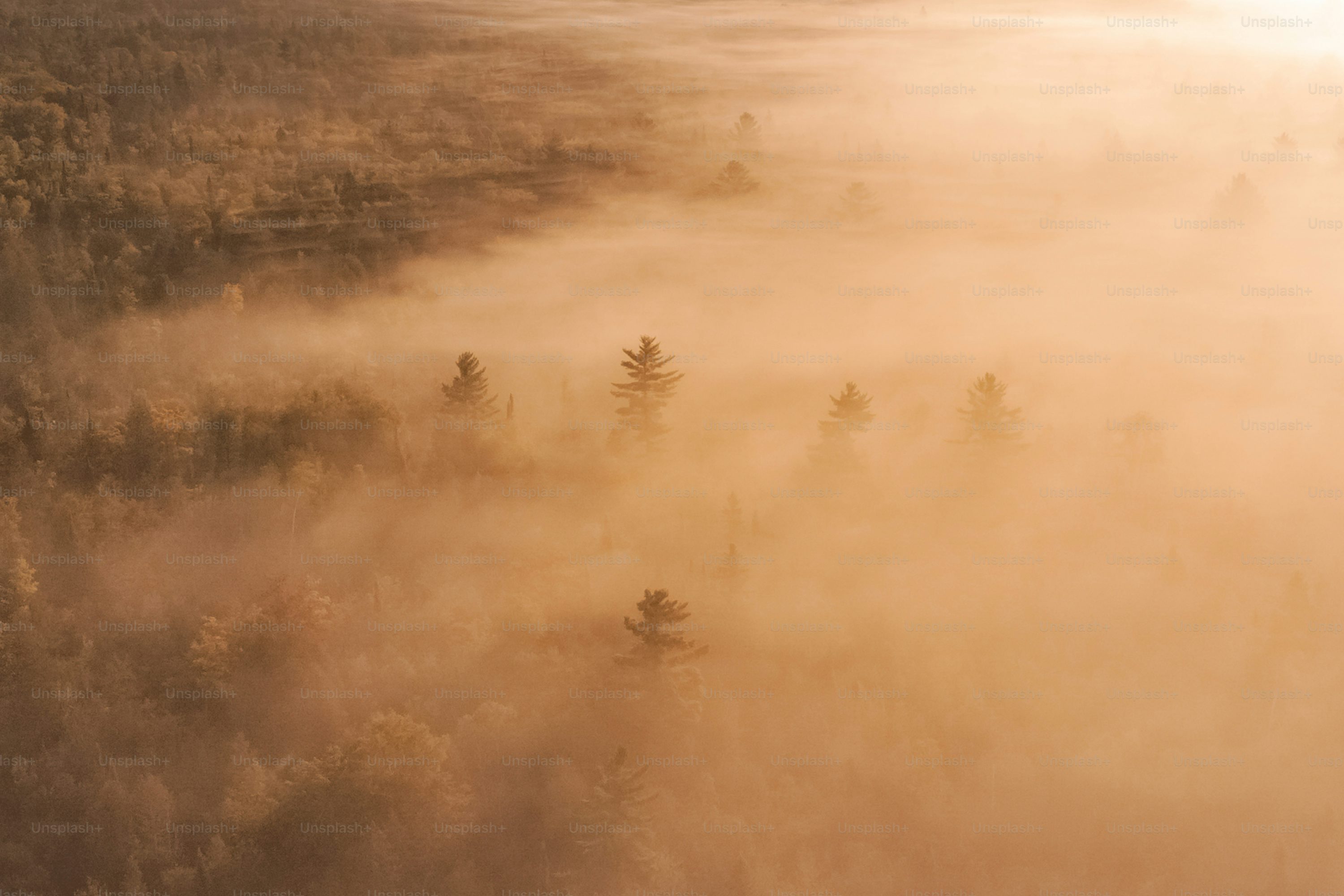 mini drones for environmental monitoring with return to home in Toronto