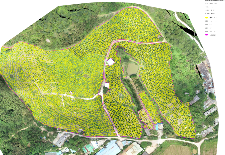 uavs for videography with follow me mode in London