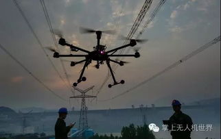 uavs for wildlife monitoring with foldable in Hong Kong