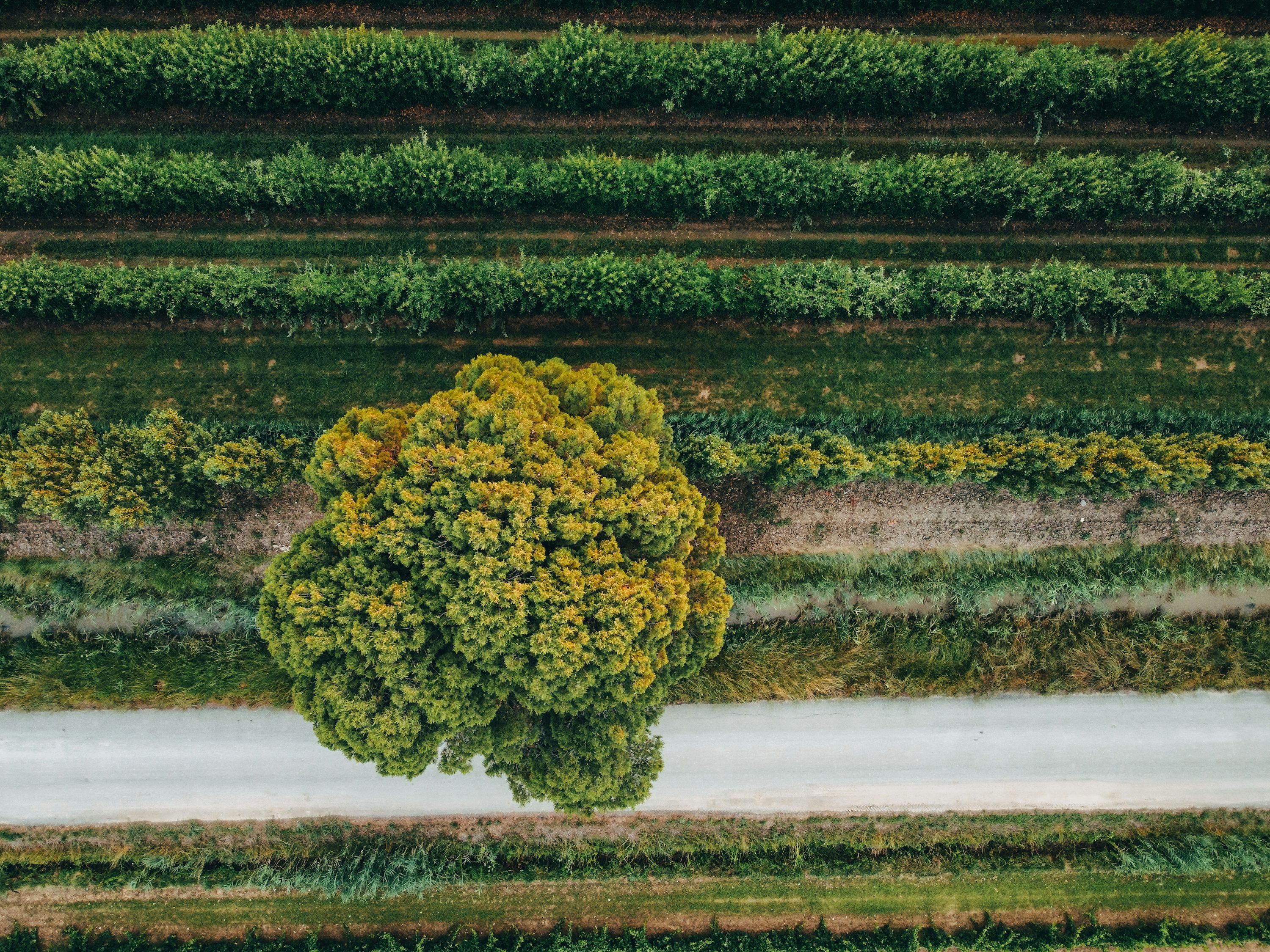 professional drone for agriculture with obstacle avoidance in USA
