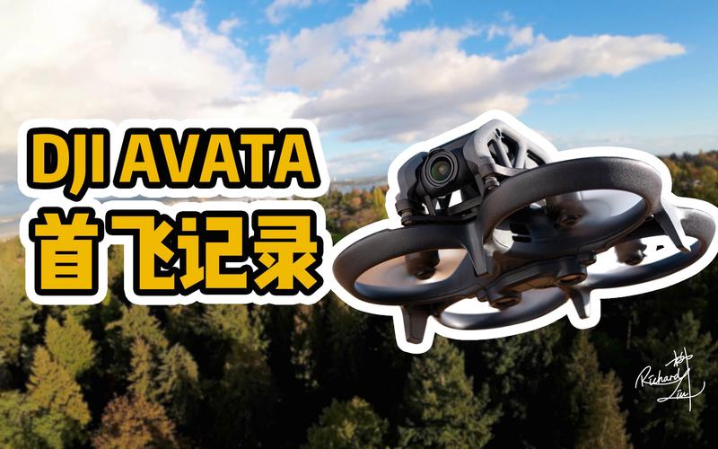 DJI Assistant 2 (Consumer Drones Series)