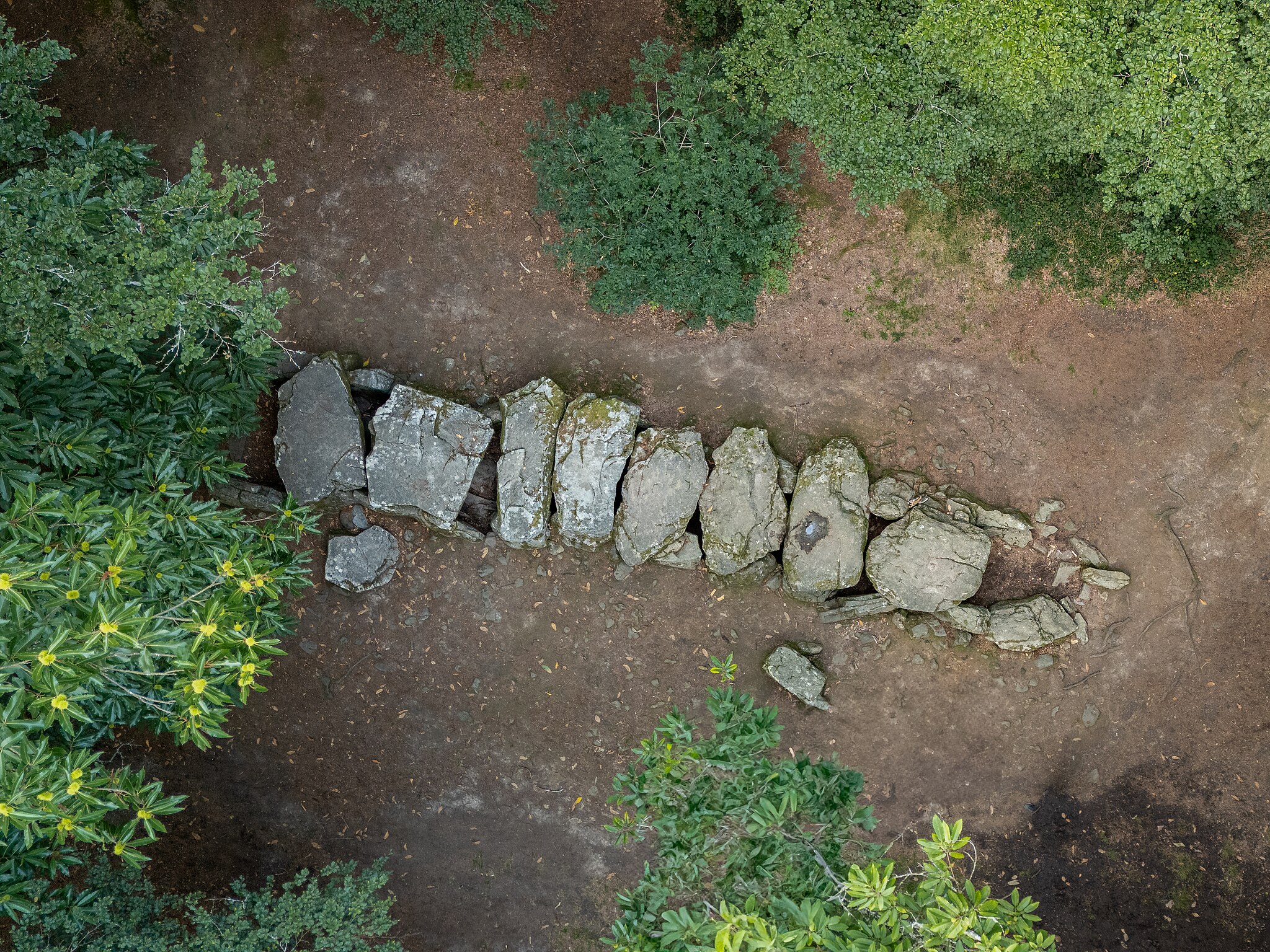 uav for videography with obstacle avoidance in Canada