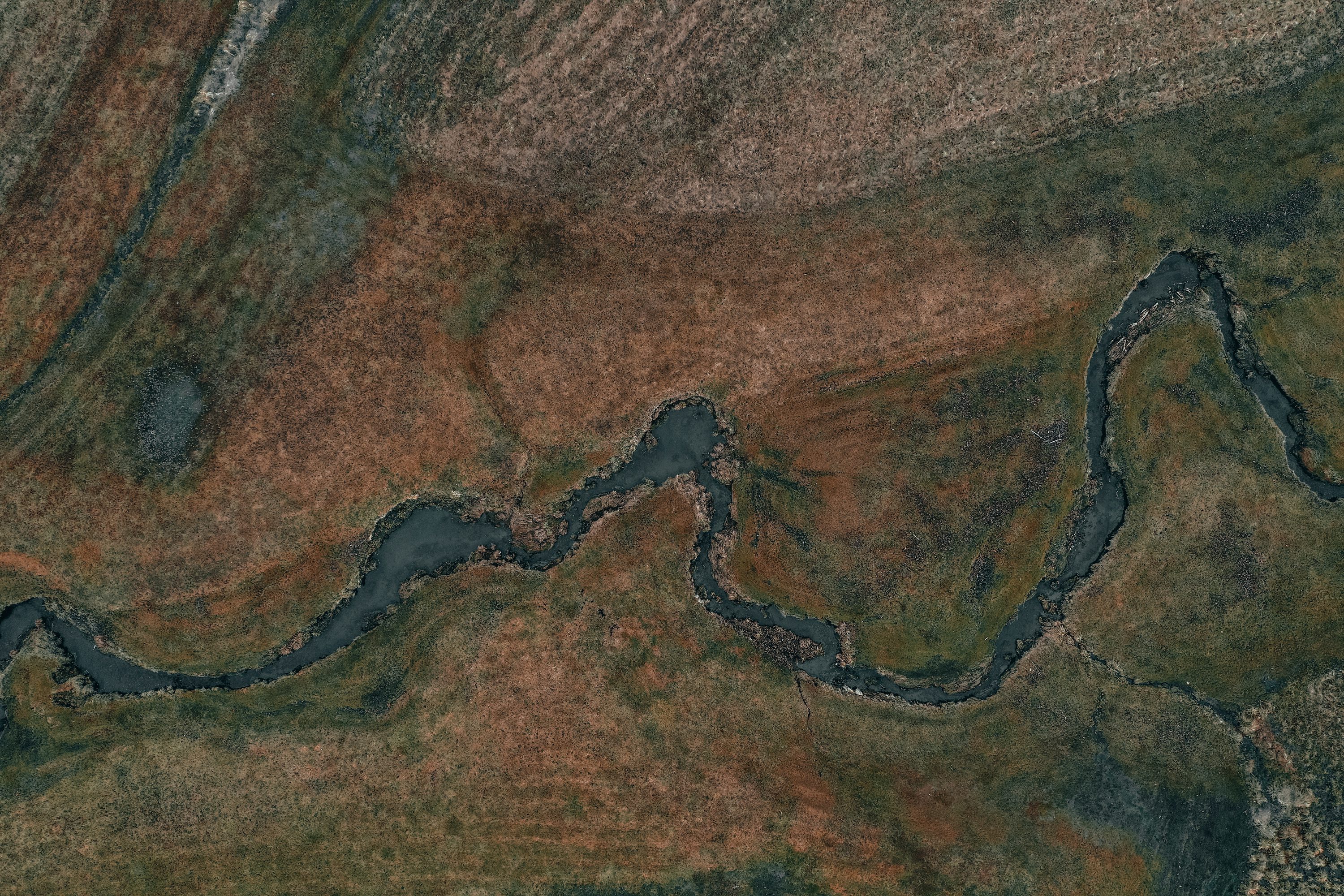 DJI mini drones for environmental monitoring with live streaming