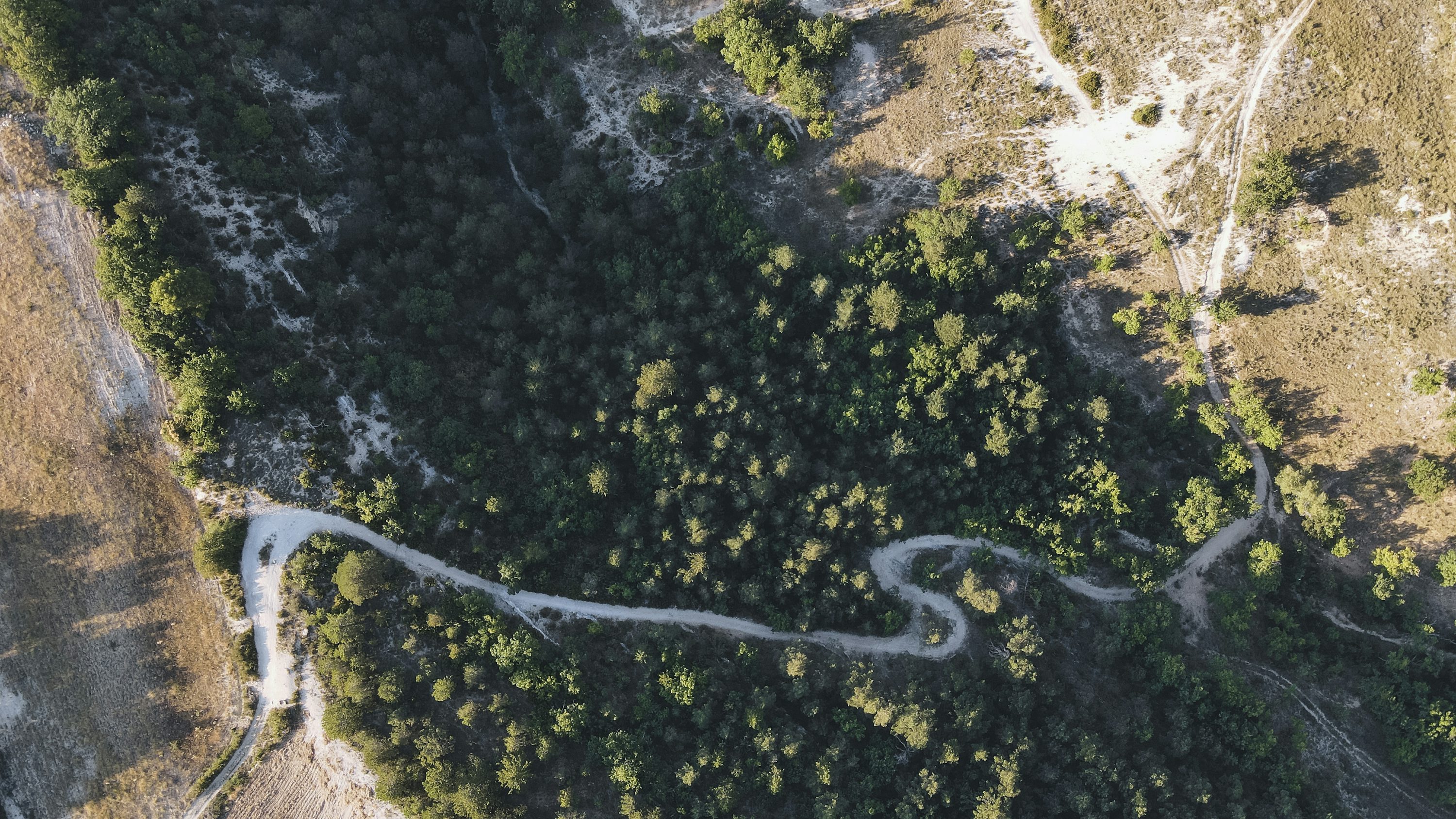Skydio gps drones for search and rescue with brushless motor