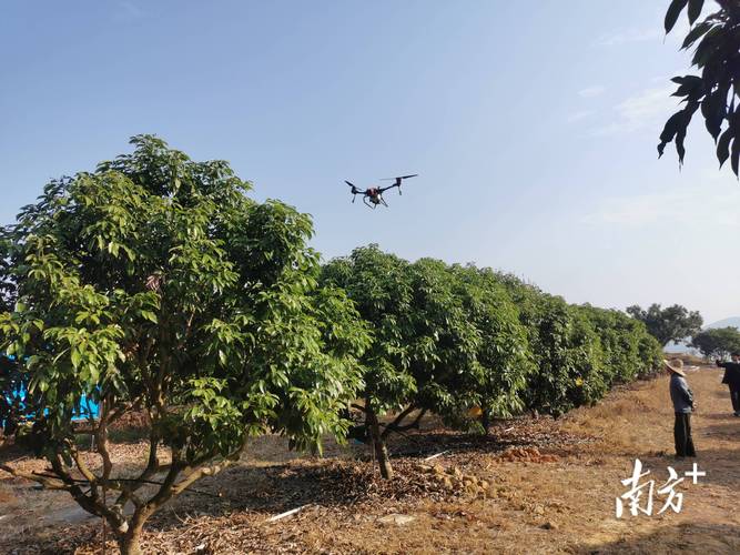 Parrot uav for cinematography with gps