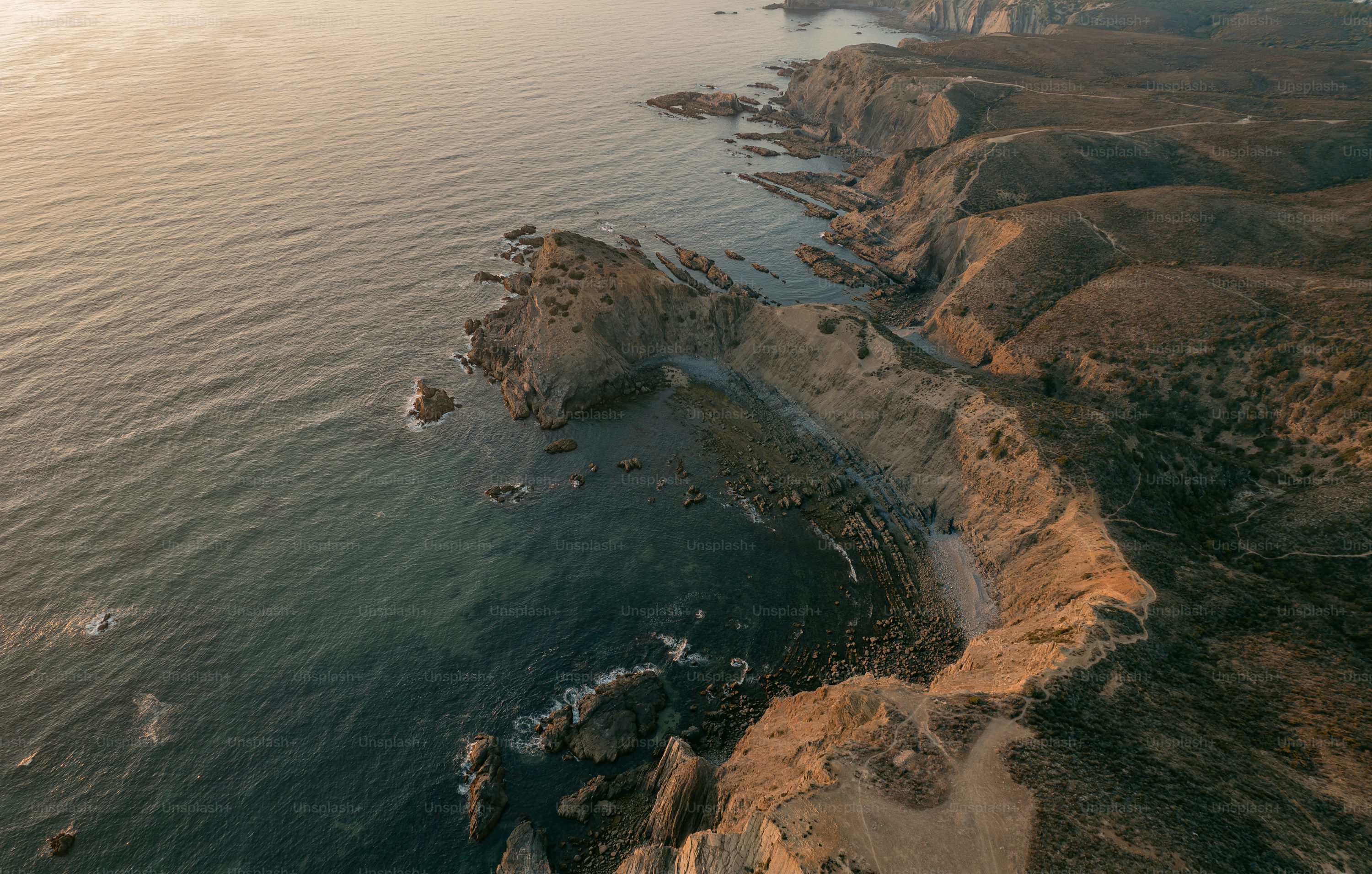 Eachine quadcopters for wildlife monitoring with altitude hold