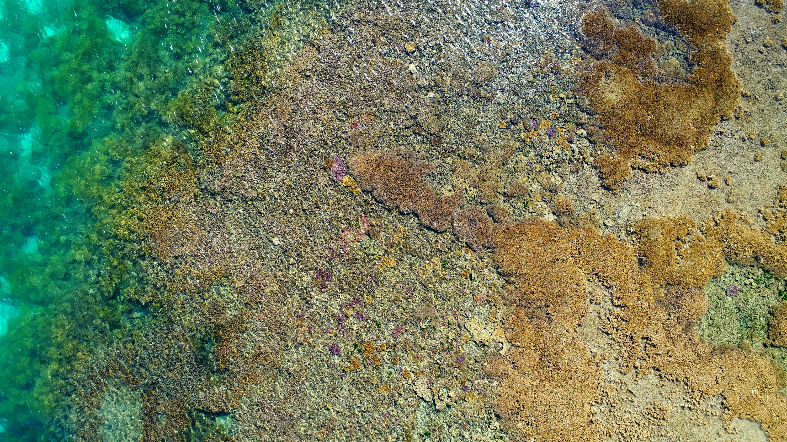 uavs for mapping with dual camera in Sydney