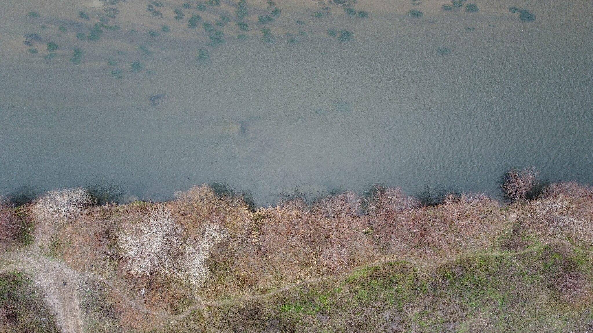 Skydio uavs for inspection with first person view