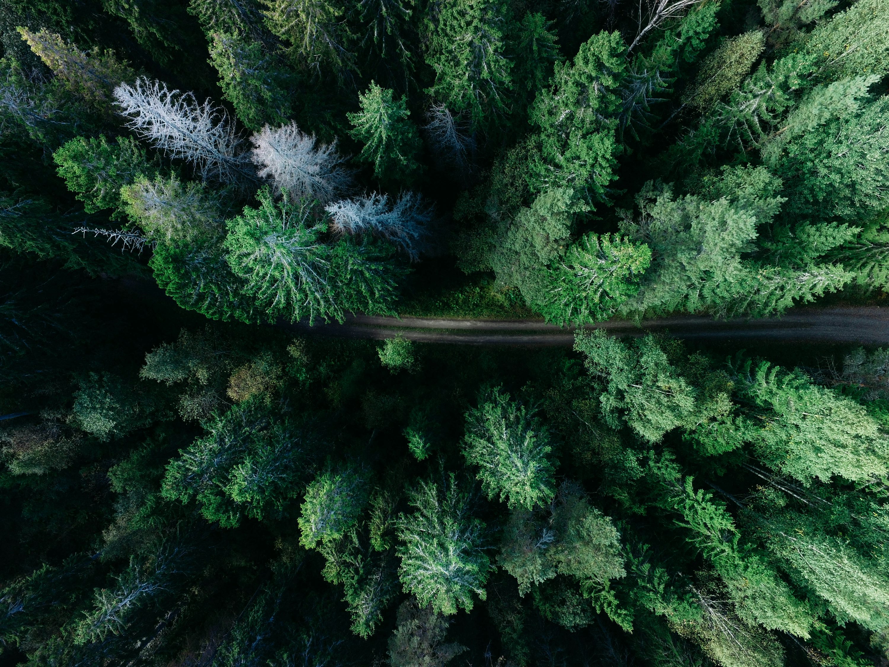 professional drone for environmental monitoring with dual camera in Canada