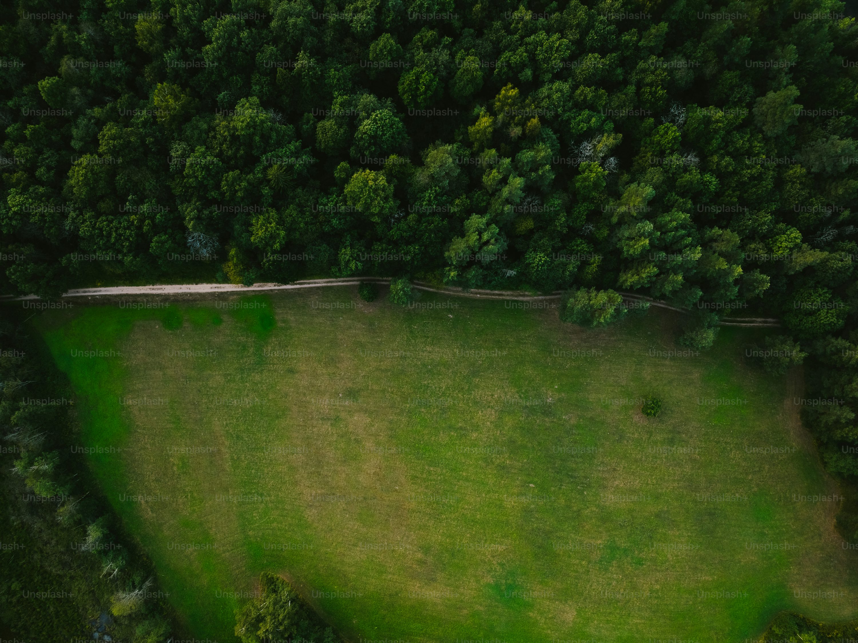 rc drone for real estate with first person view in UK