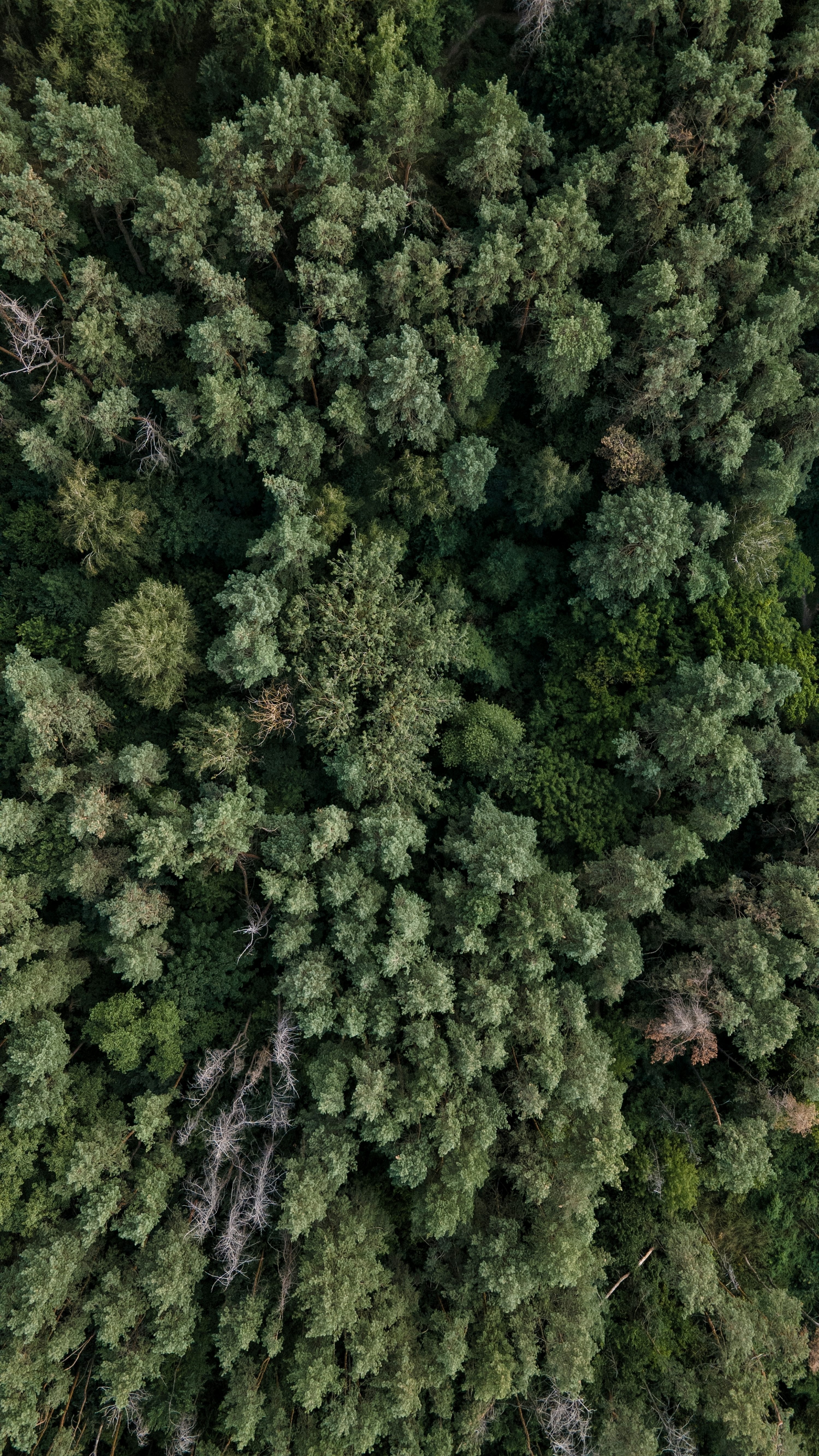 uav for real estate with altitude hold in Canada