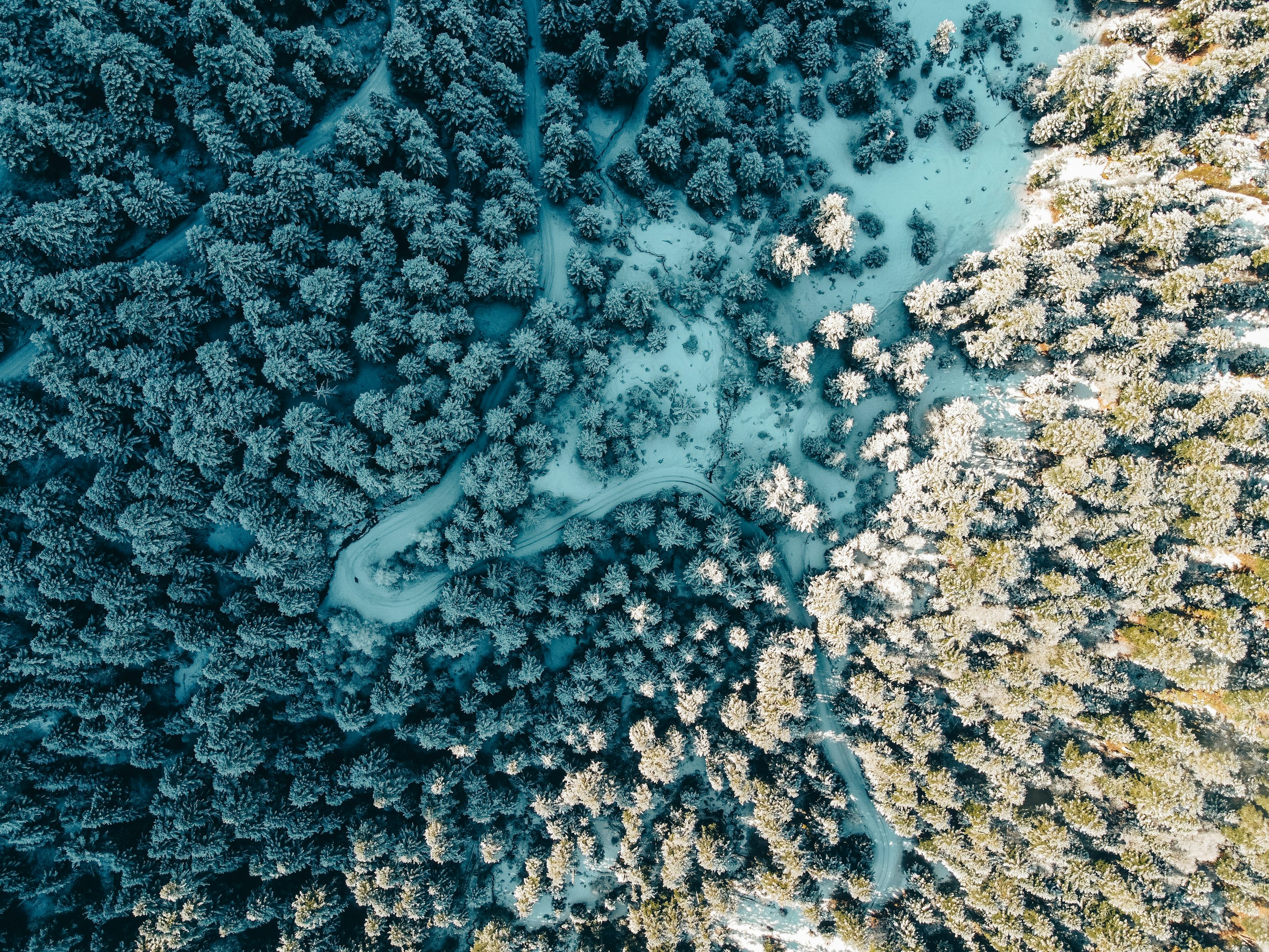 DJI professional drones for cinematography with obstacle avoidance