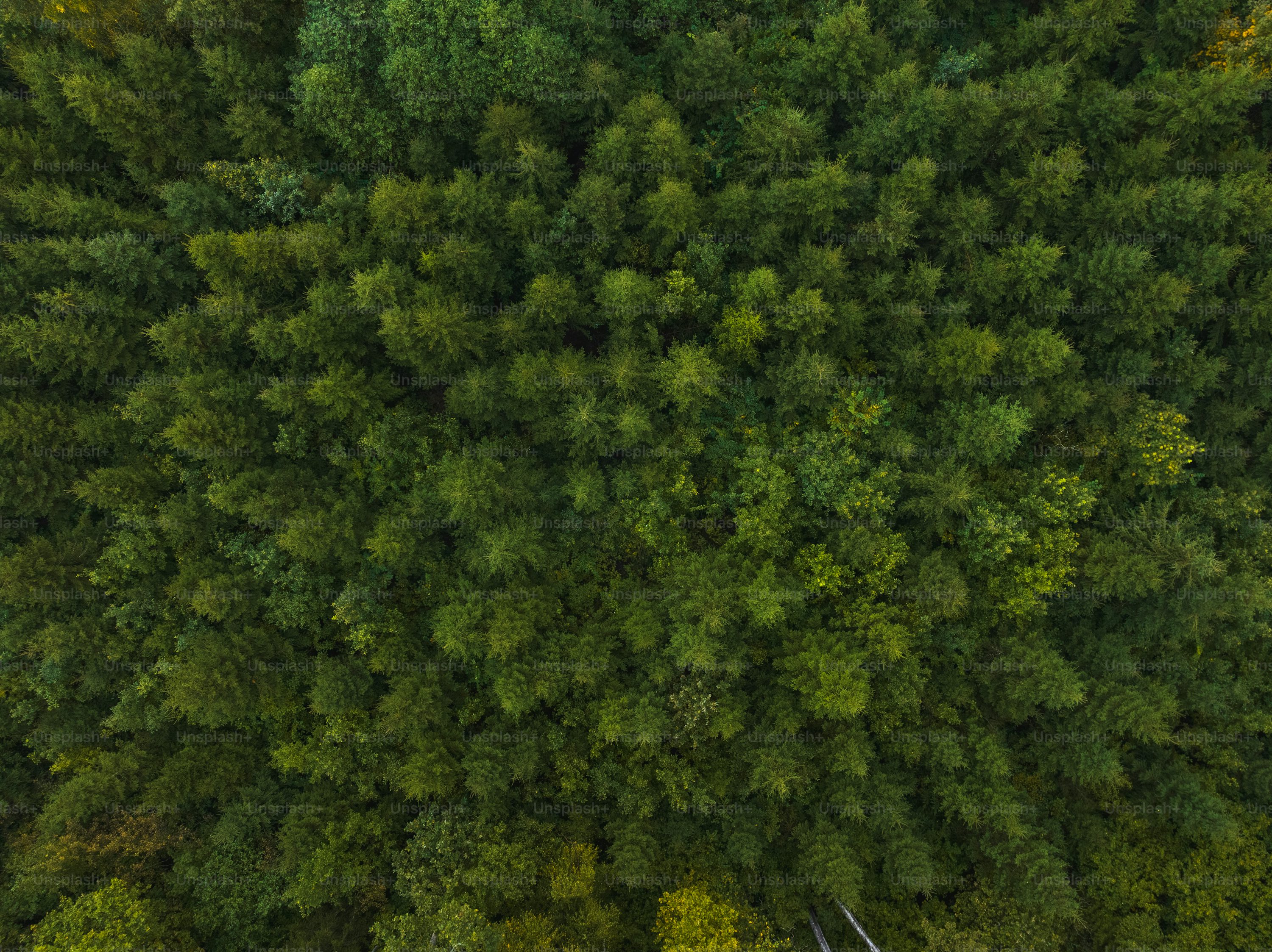 camera drone for law enforcement with dual camera