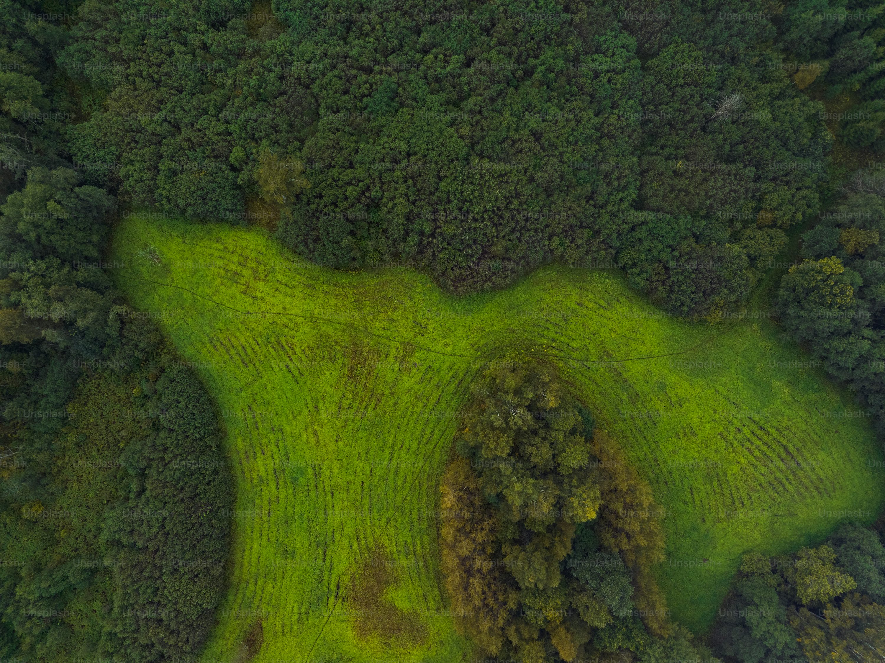 professional drones for delivery with waterproof in Canada