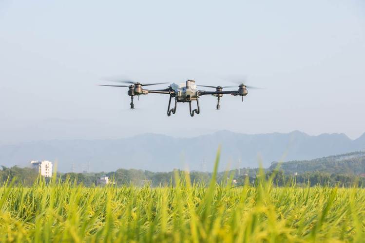 Potensic mini drones for wildlife monitoring with brushless motor