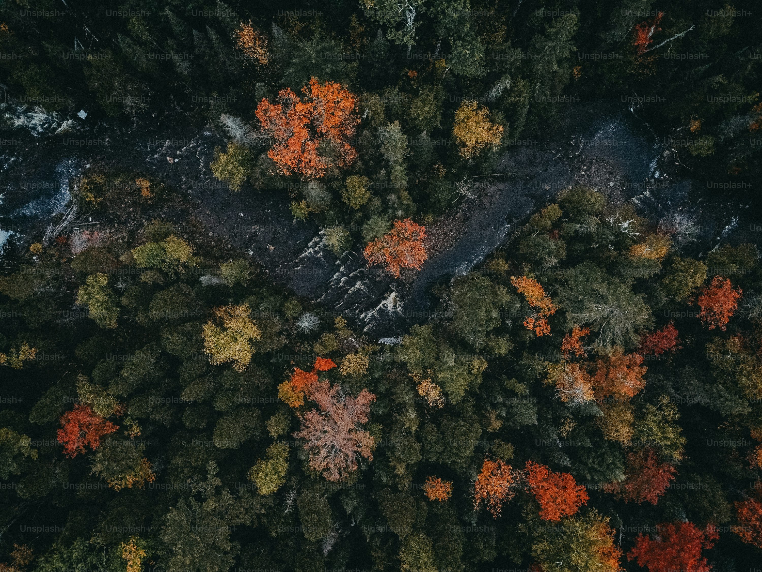 gps drone for aerial photography with brushless motor in USA