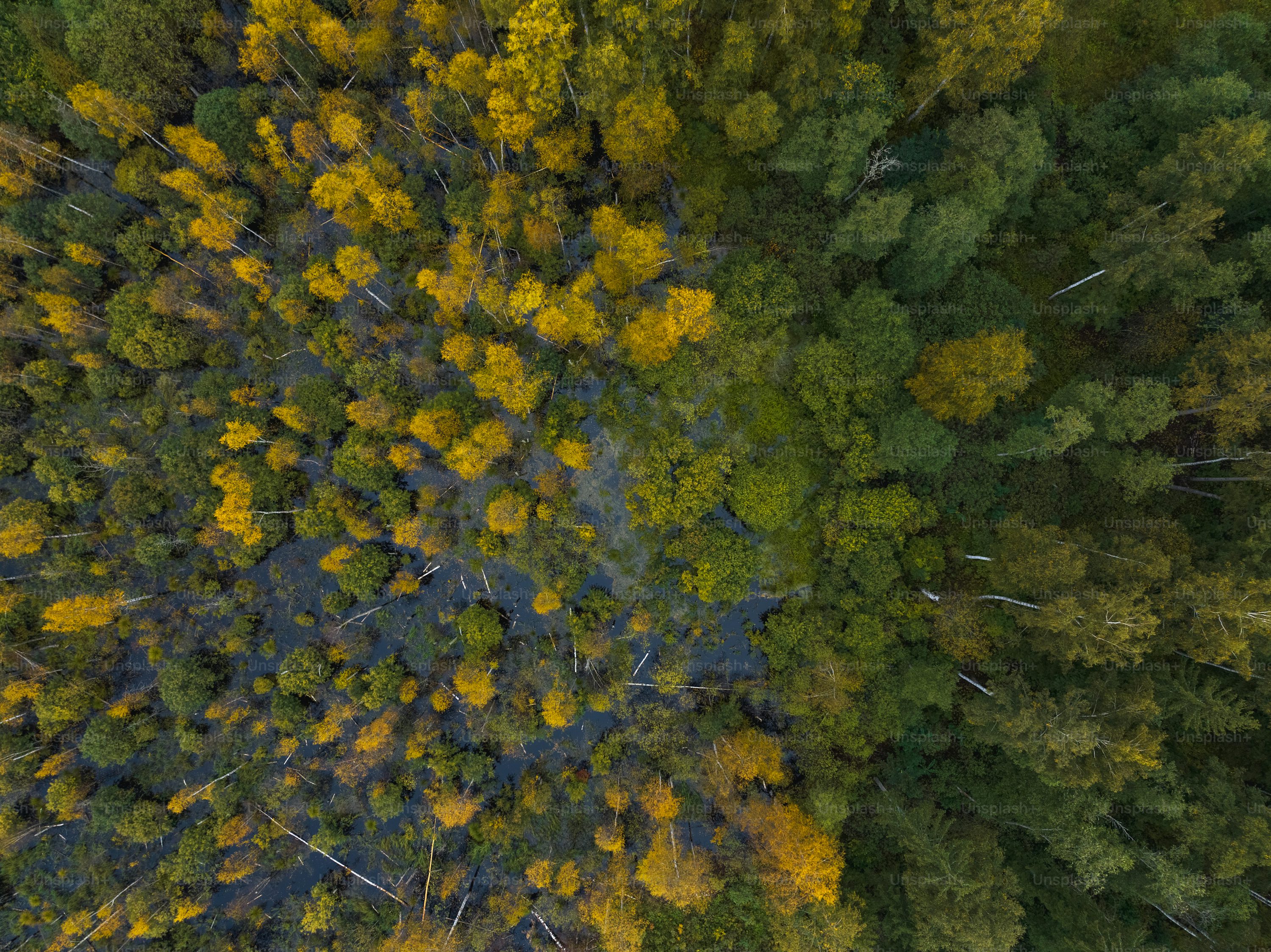 professional drones for environmental monitoring with thermal camera in Canada