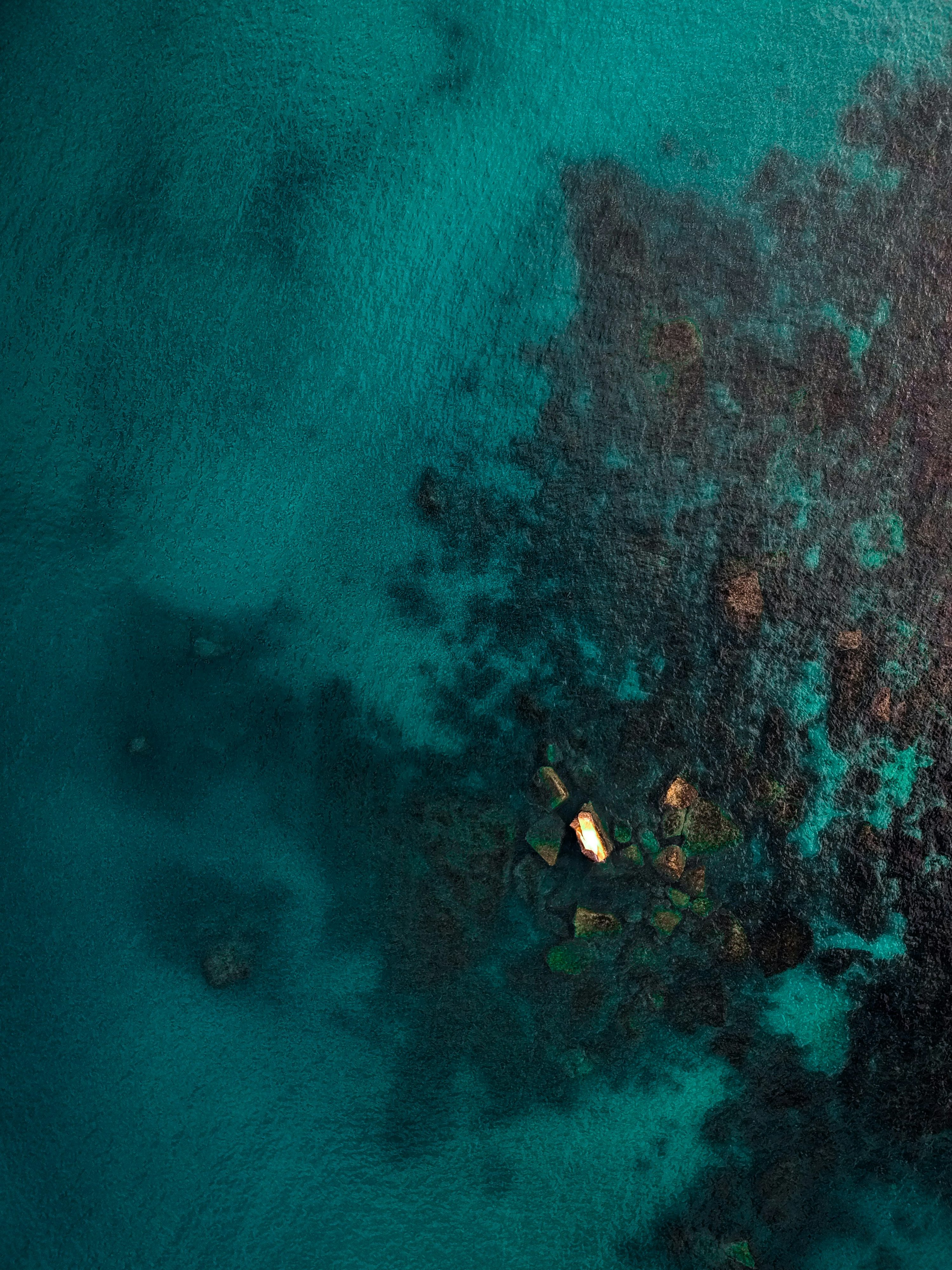 uavs for wildlife monitoring with dual camera in Europe