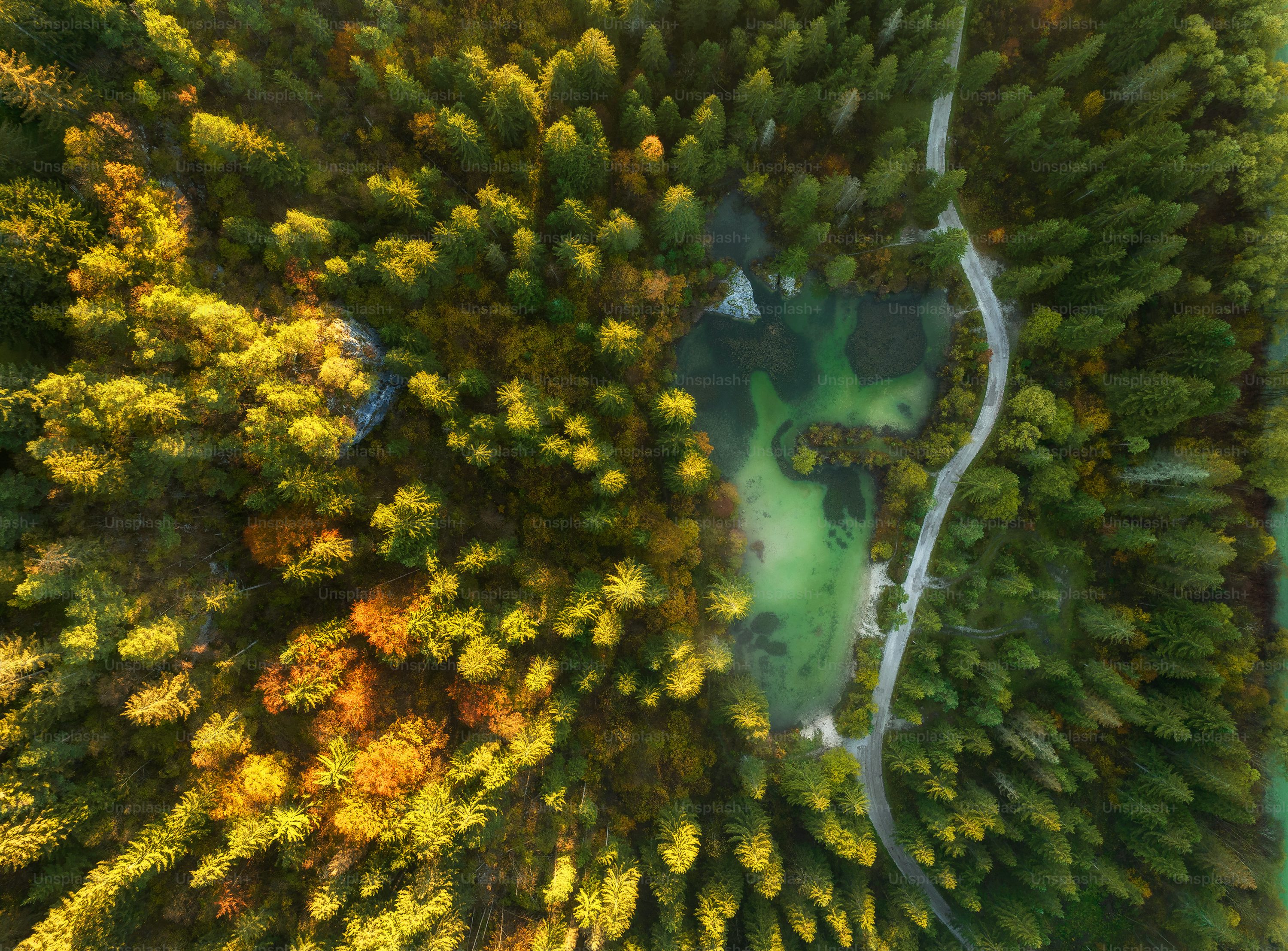 professional drone for cinematography with foldable in Sydney