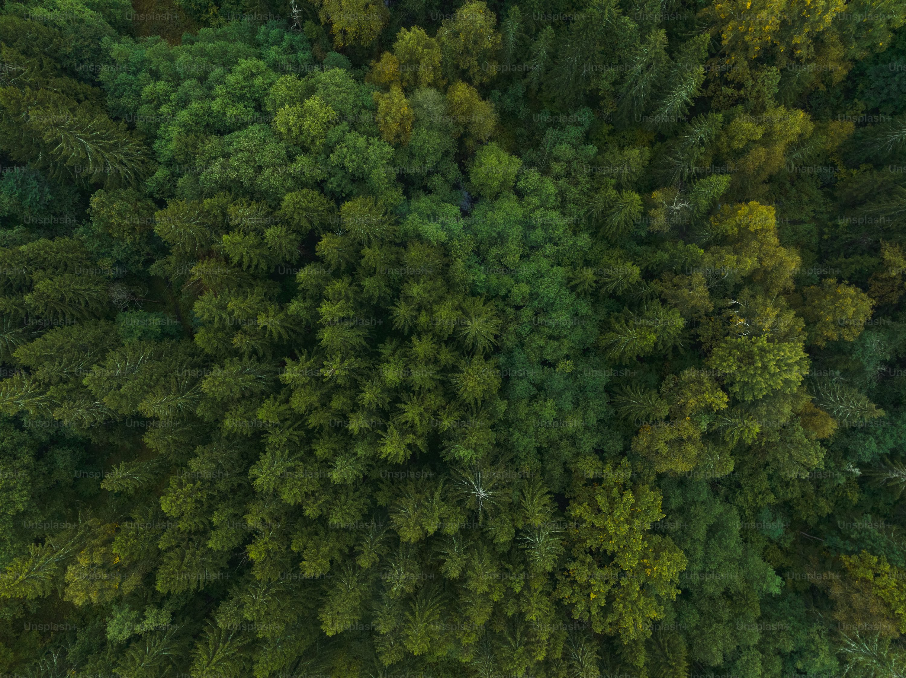 rc drone for farming with altitude hold in Toronto