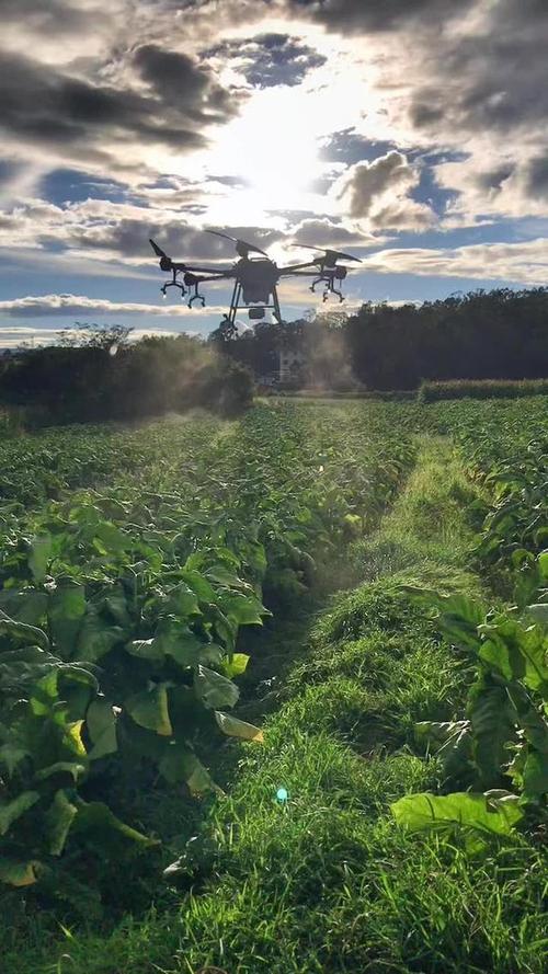 quadcopters for delivery with 4k camera in Asia