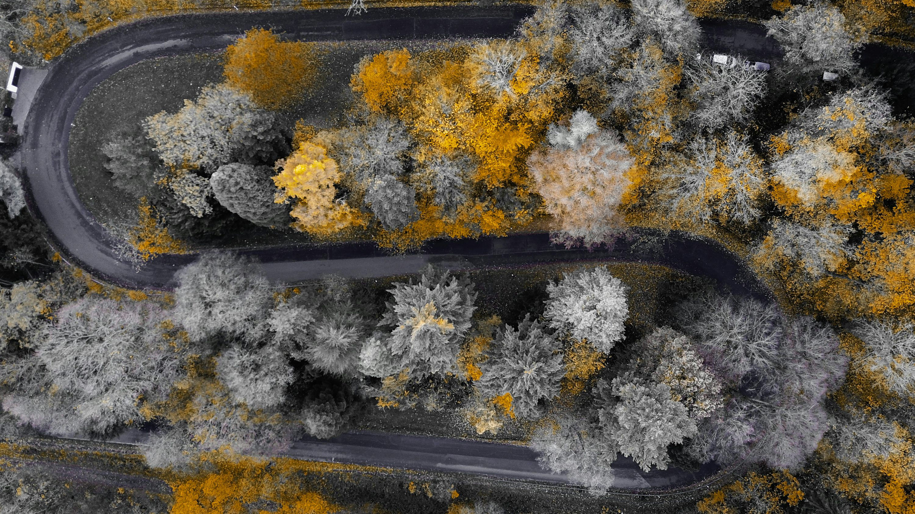 professional drones for real estate with altitude hold in Europe