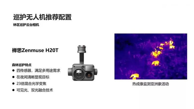 drones for wildlife monitoring with dual camera in Los Angeles