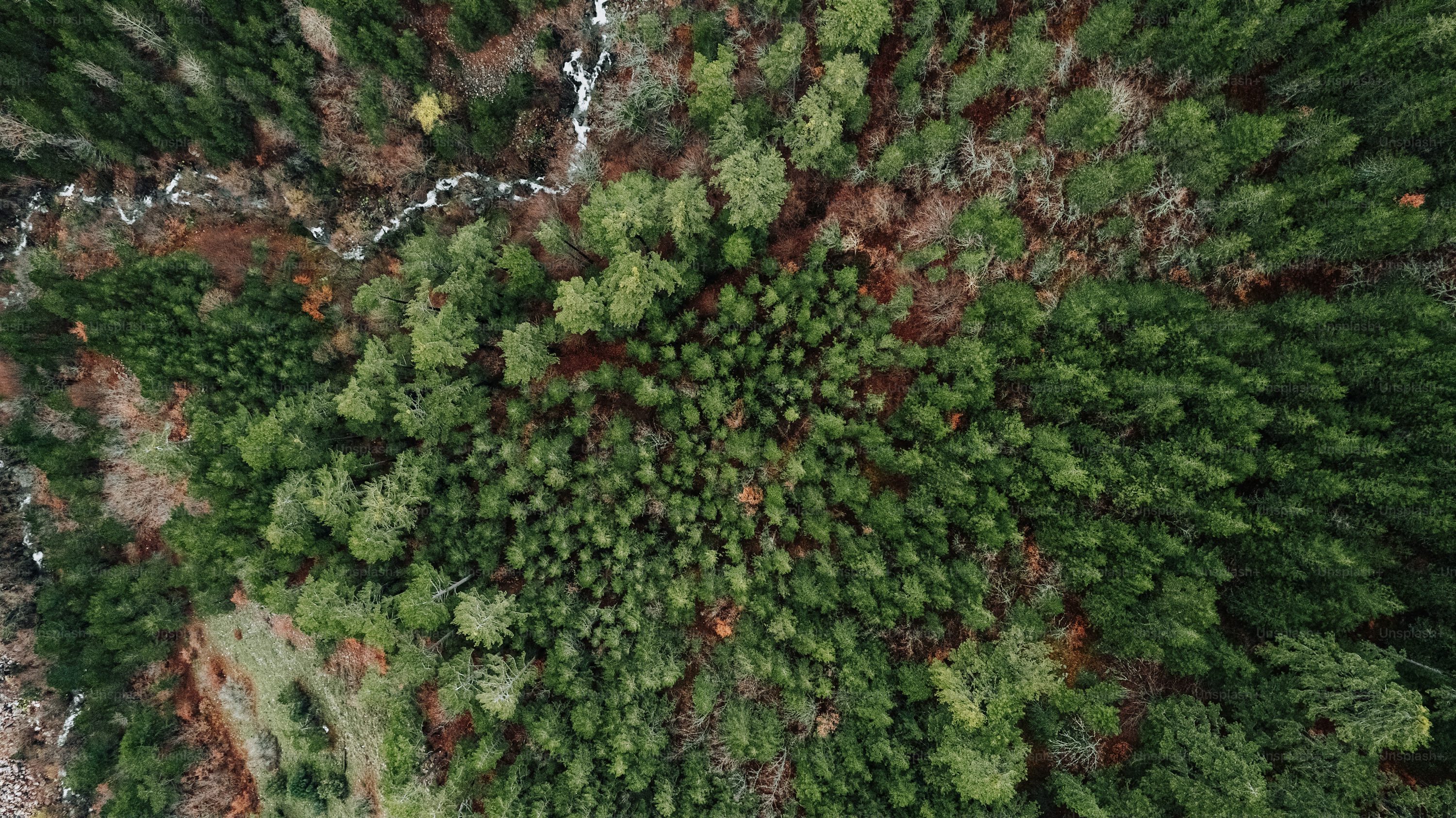 gps drone for security with obstacle avoidance in Australia