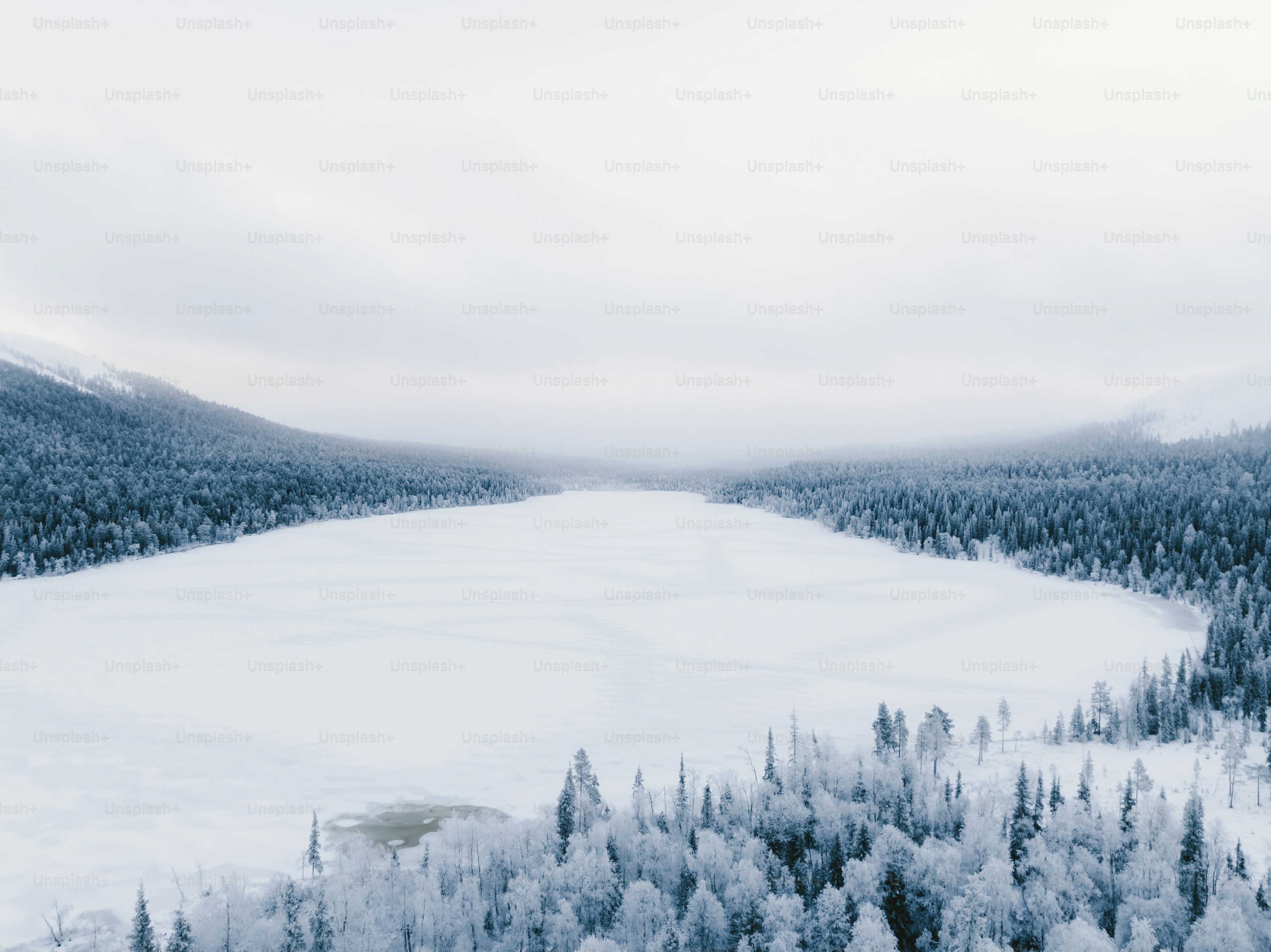 drone for wildlife monitoring with gps