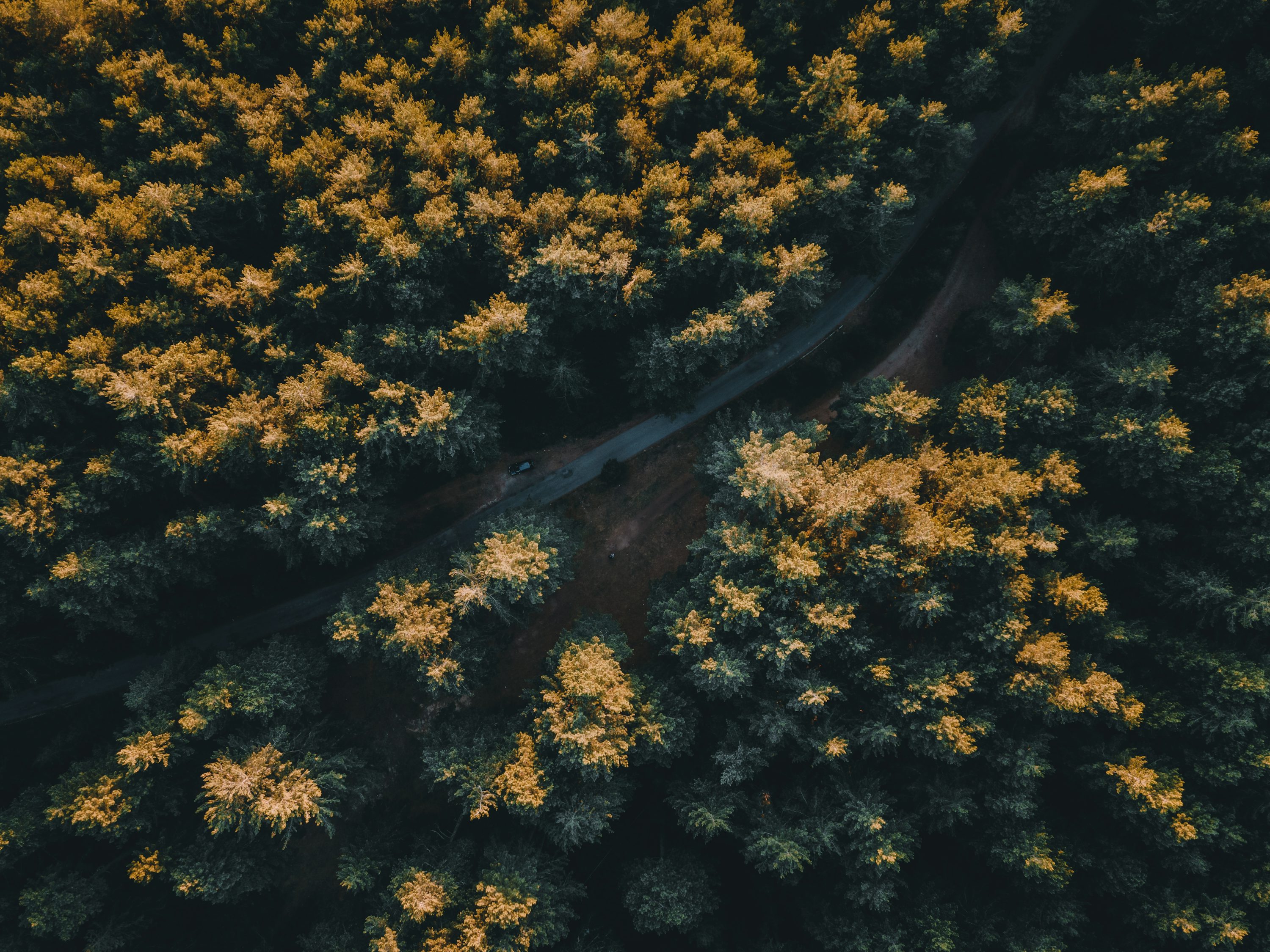 fpv drones for mapping with long battery life in Sydney