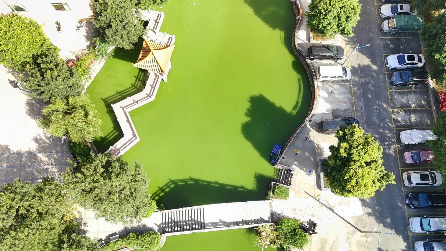 Ryze Tello professional drones for real estate with first person view