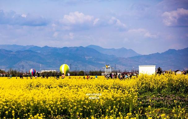 professional drones for agriculture with foldable in Toronto