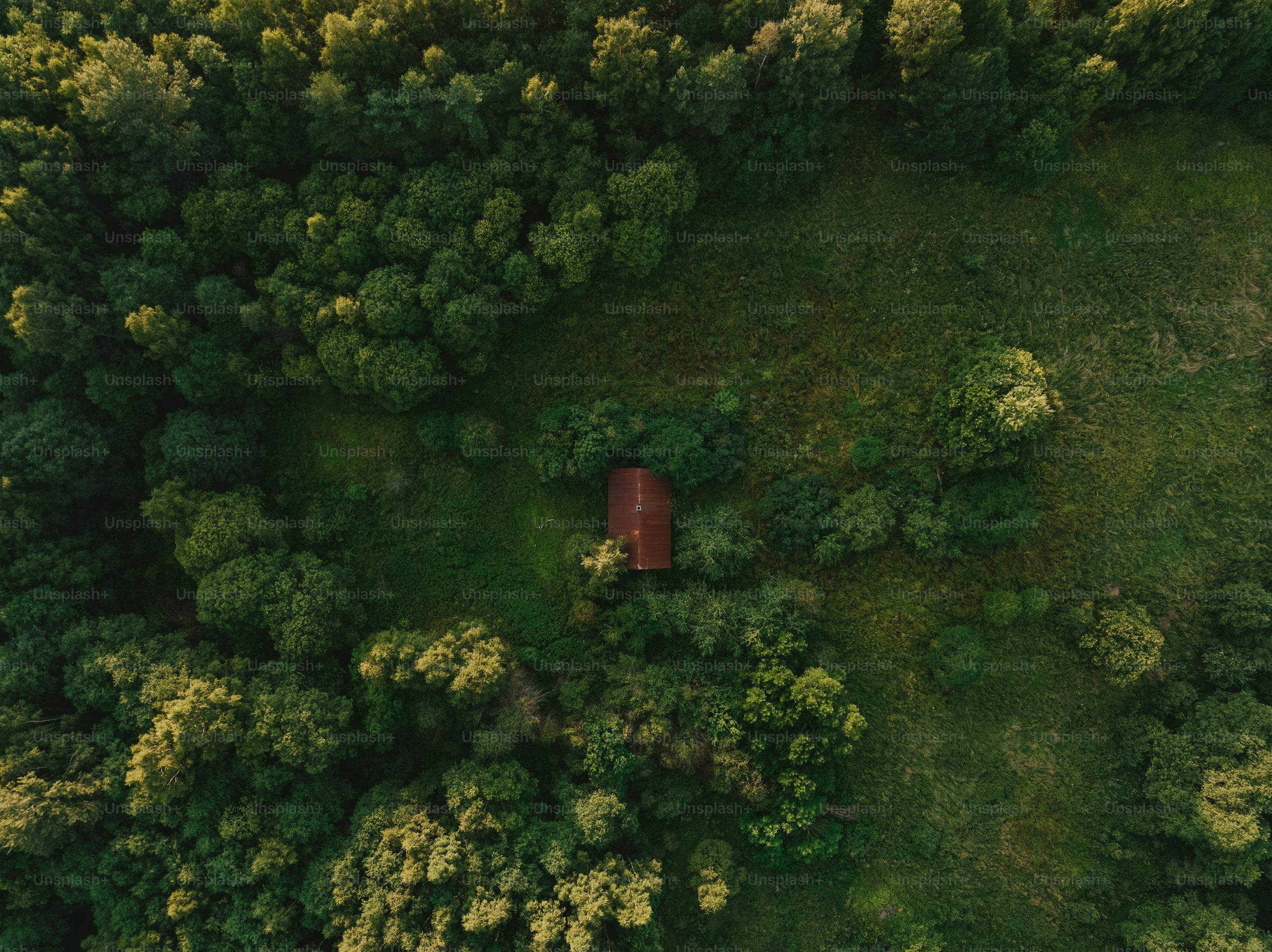 professional drones for agriculture with 4k camera in Canada