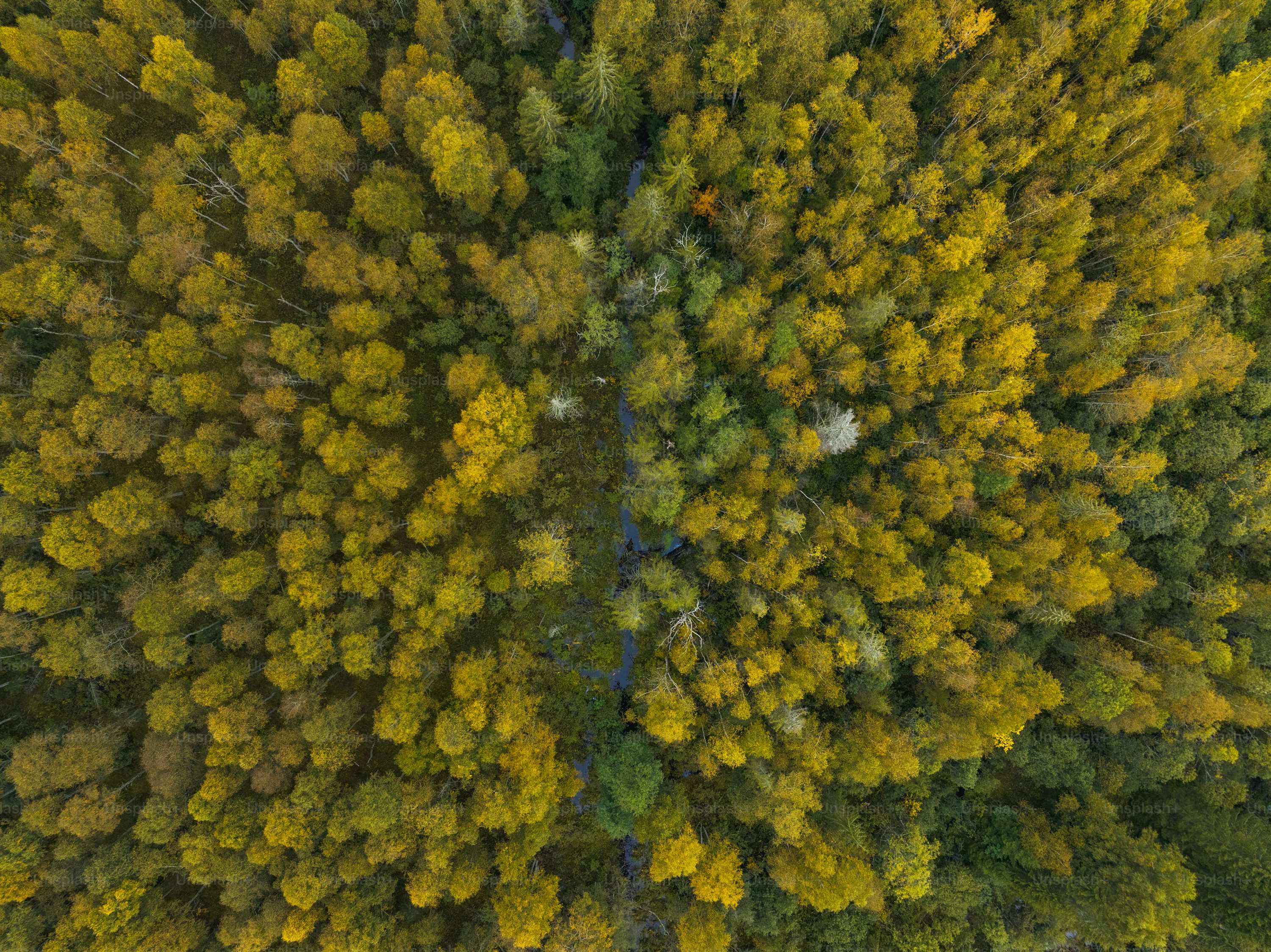 uav for inspection with return to home in New York