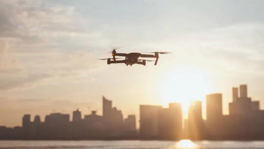 rc drones for wildlife monitoring with 1080p camera in New York
