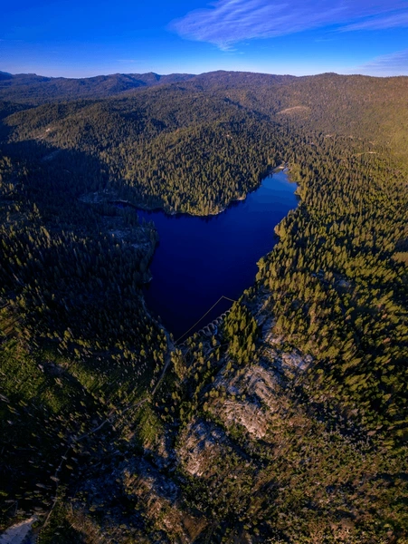 drone for wildlife monitoring with dual camera in Australia