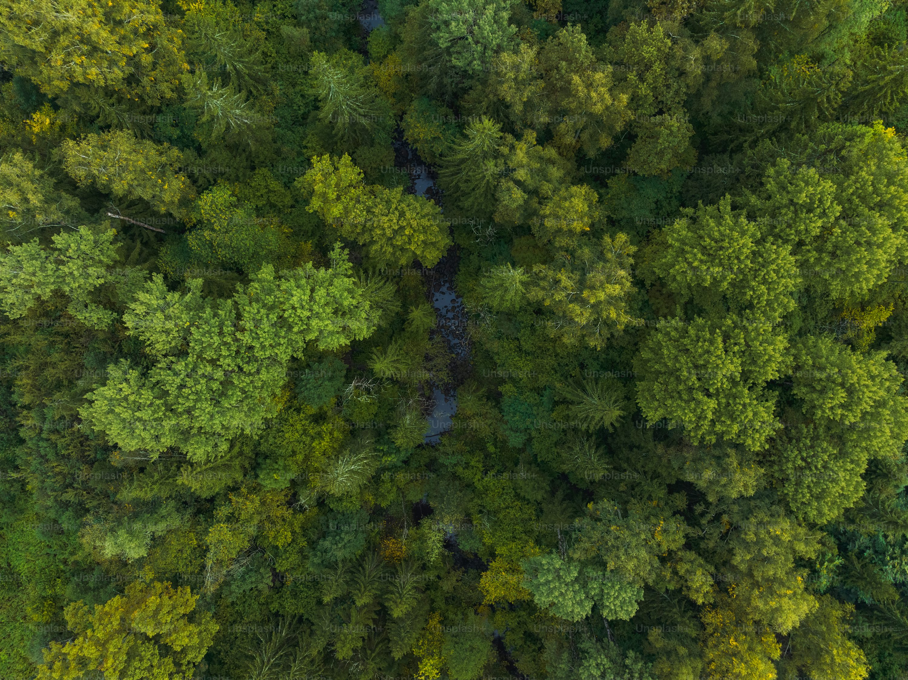 fpv drones for farming with thermal camera in London