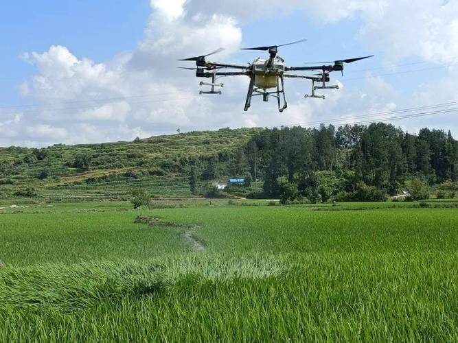 uav for wildlife monitoring with thermal camera in Toronto