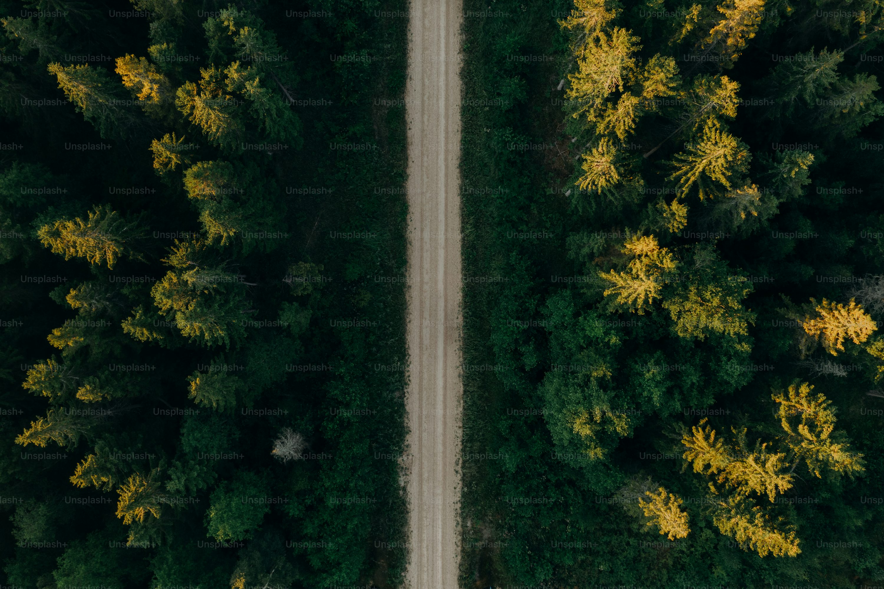 Eachine rc drones for wildlife monitoring with 4k camera