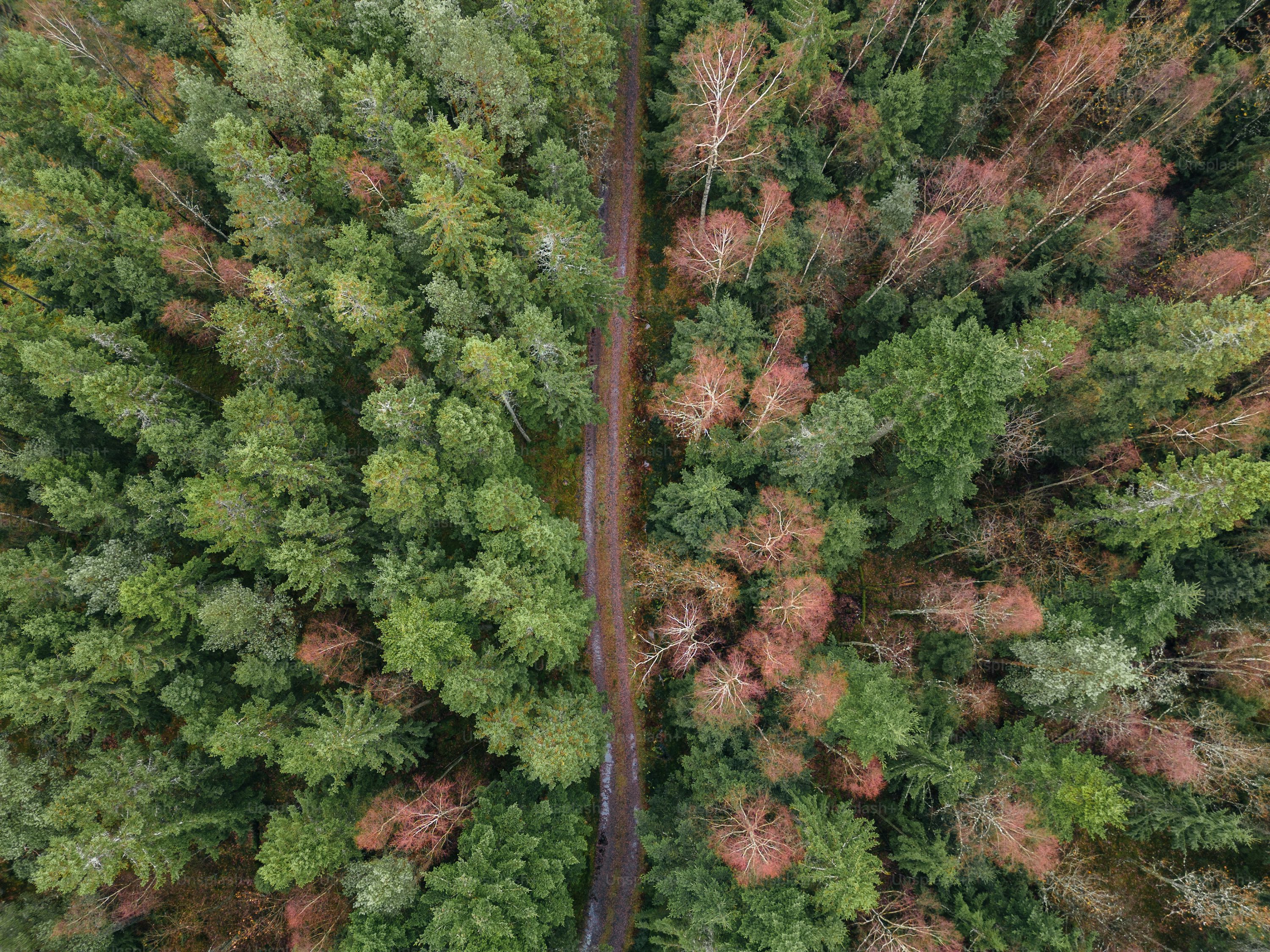 drones for aerial photography with thermal camera in Australia