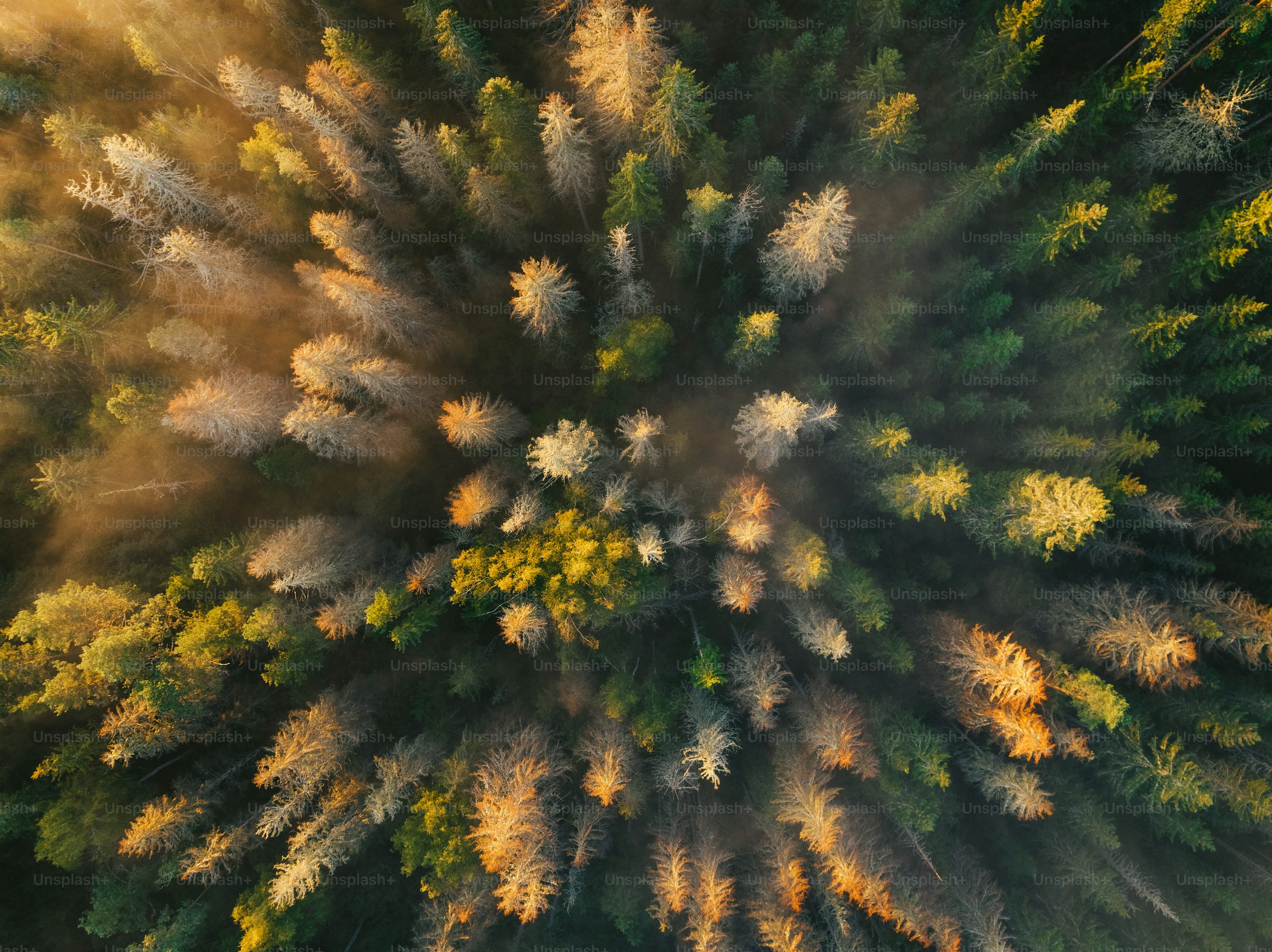 gps drones for law enforcement with first person view in New York