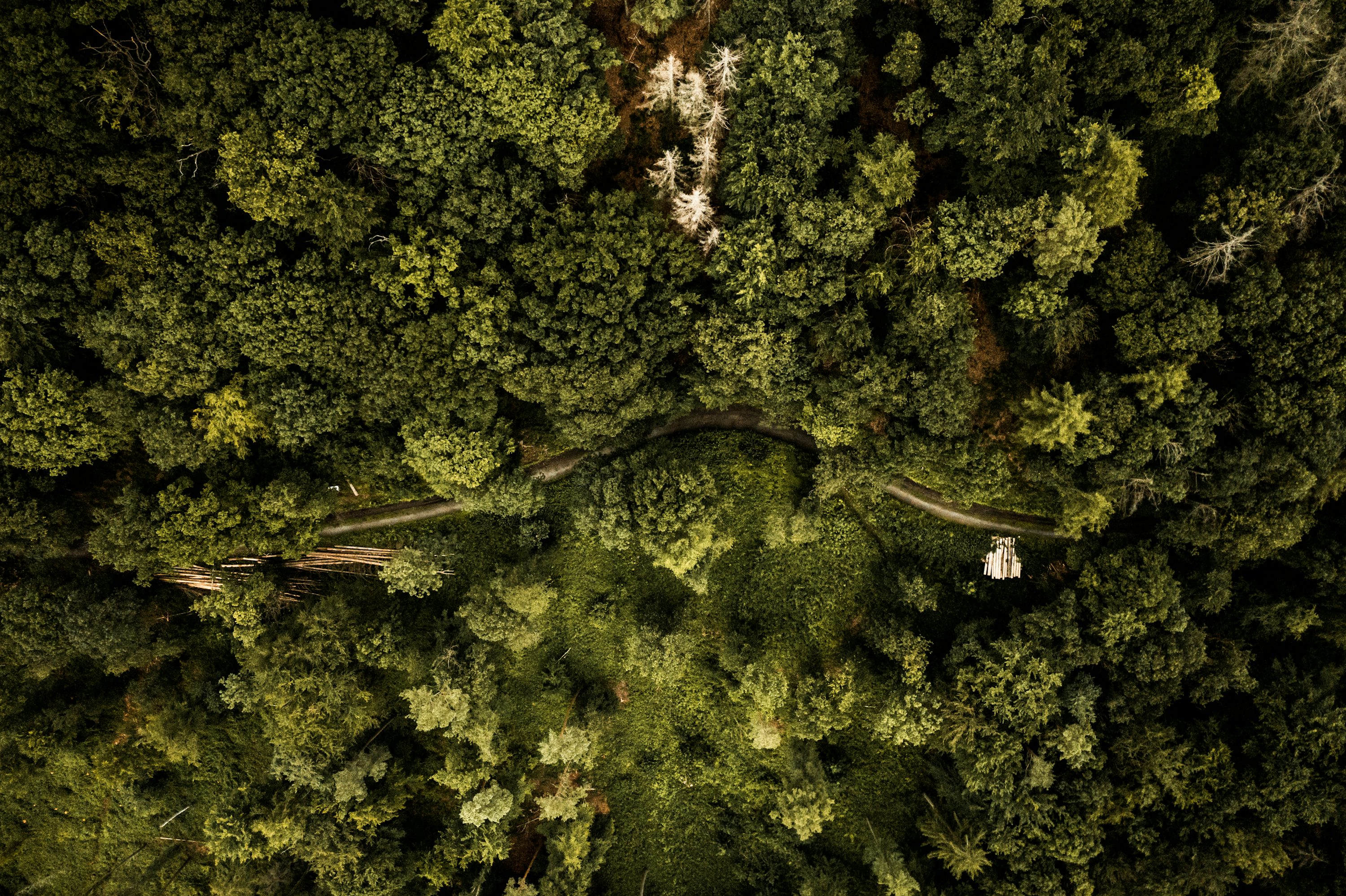 drones for inspection with follow me mode in USA