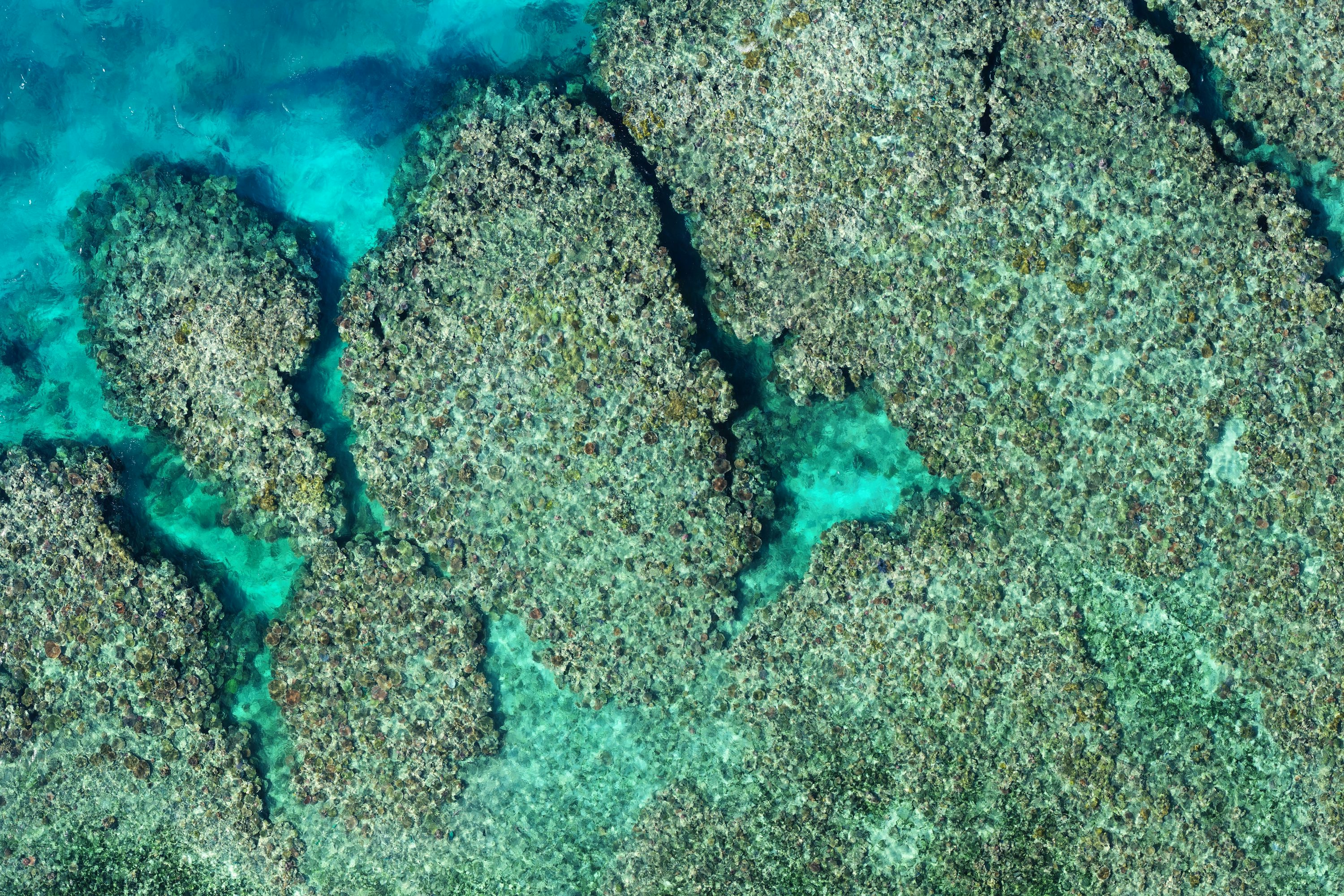 Skydio uav for environmental monitoring with return to home