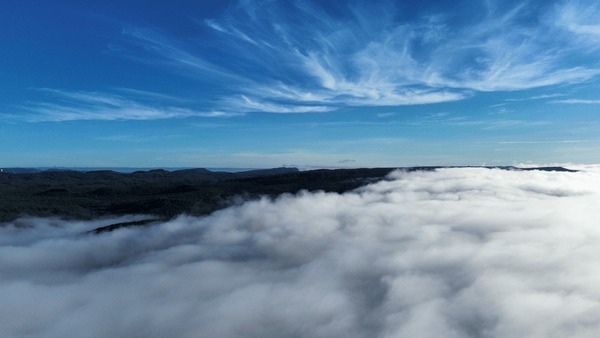 Parrot uavs for videography with live streaming