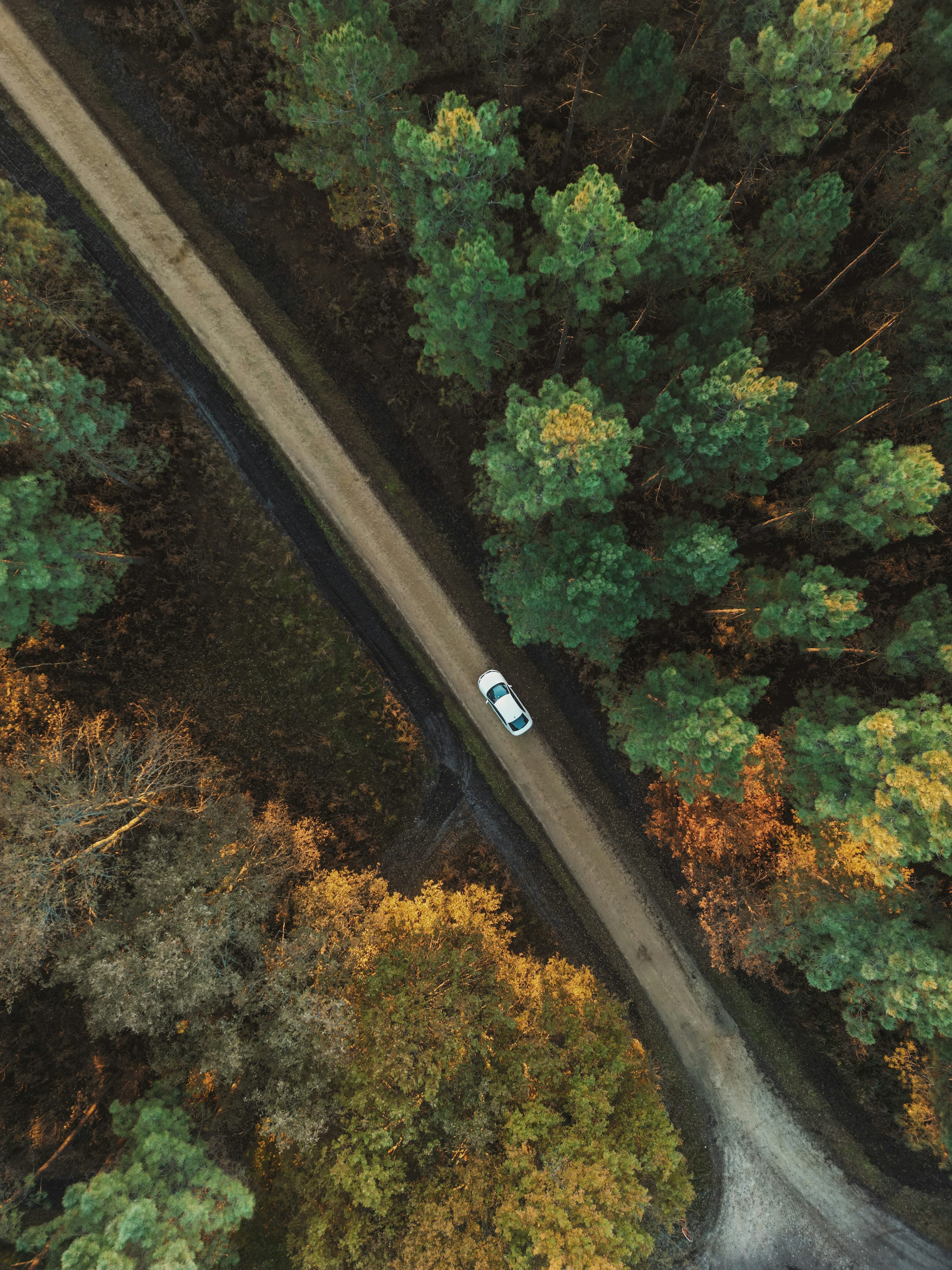 drone for mapping with dual camera