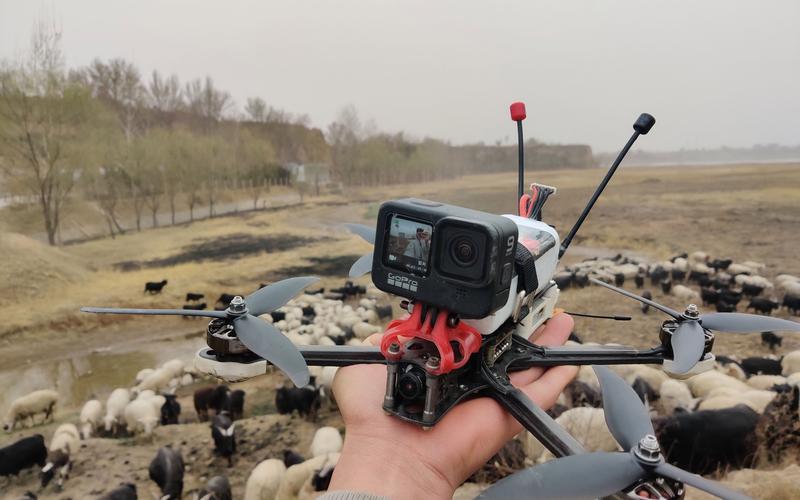 drones for wildlife monitoring with altitude hold in Asia