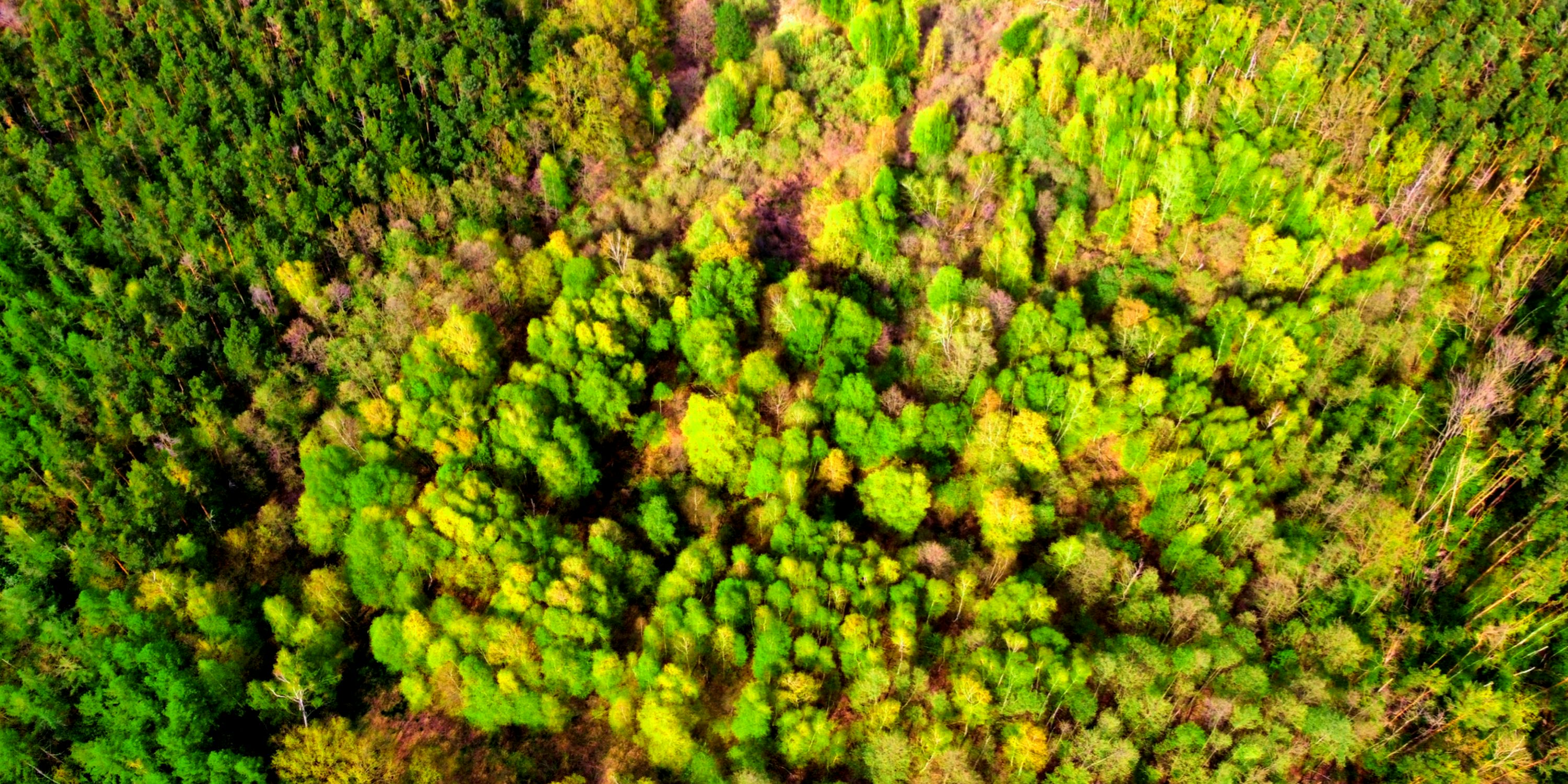 drone for racing with altitude hold in Australia